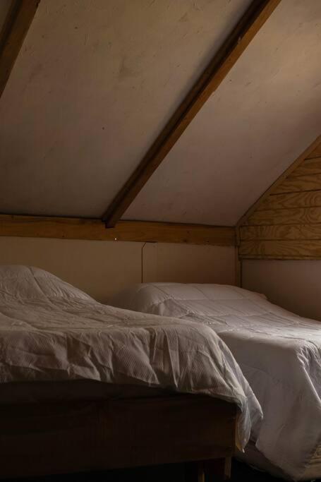 Cabaña Santa Amelia Antuco Pet Friendly
