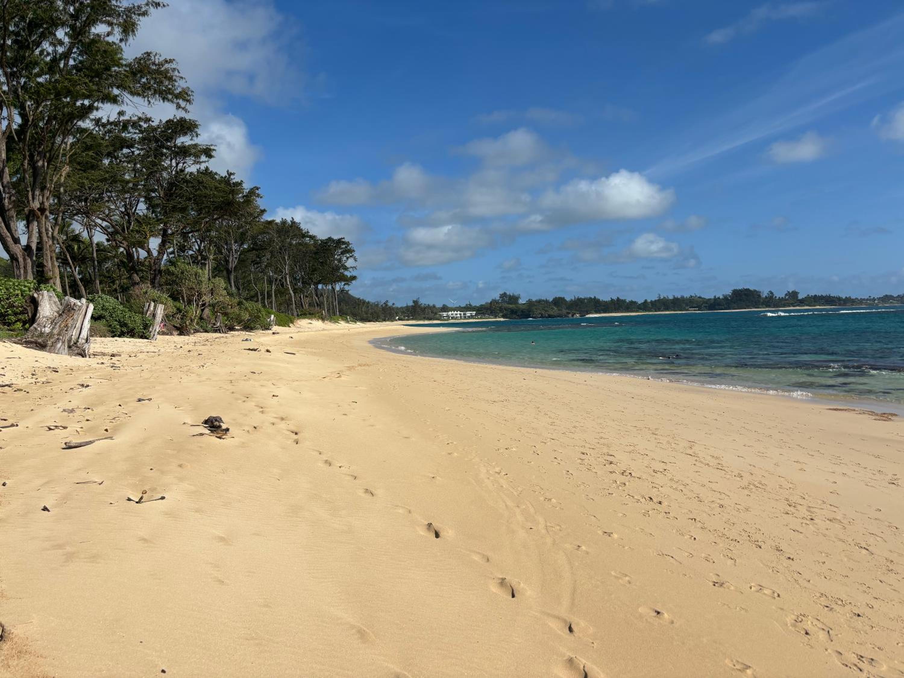 Tropical Treasure on a White Sandy Beach view 2