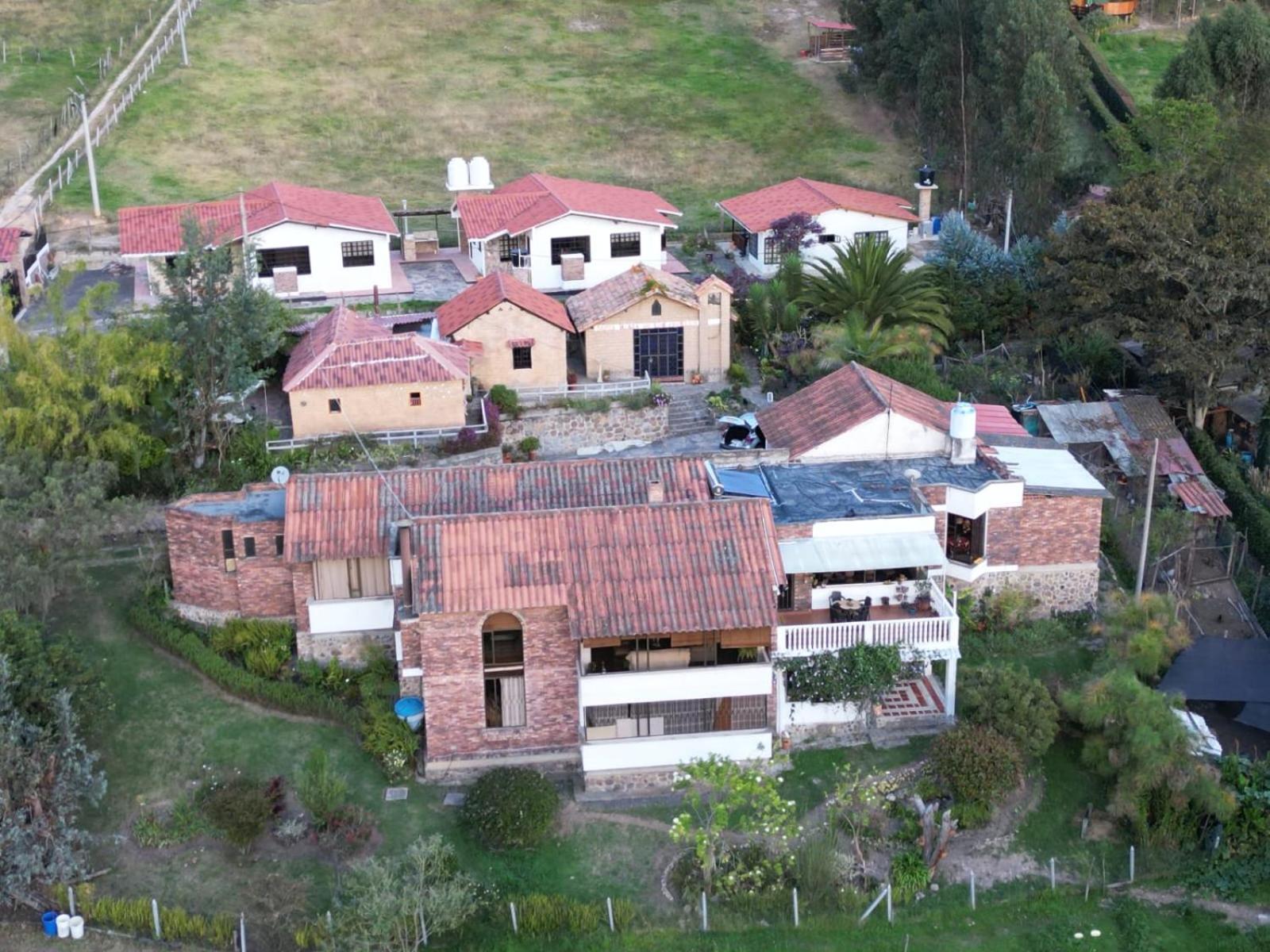 D'Antaño