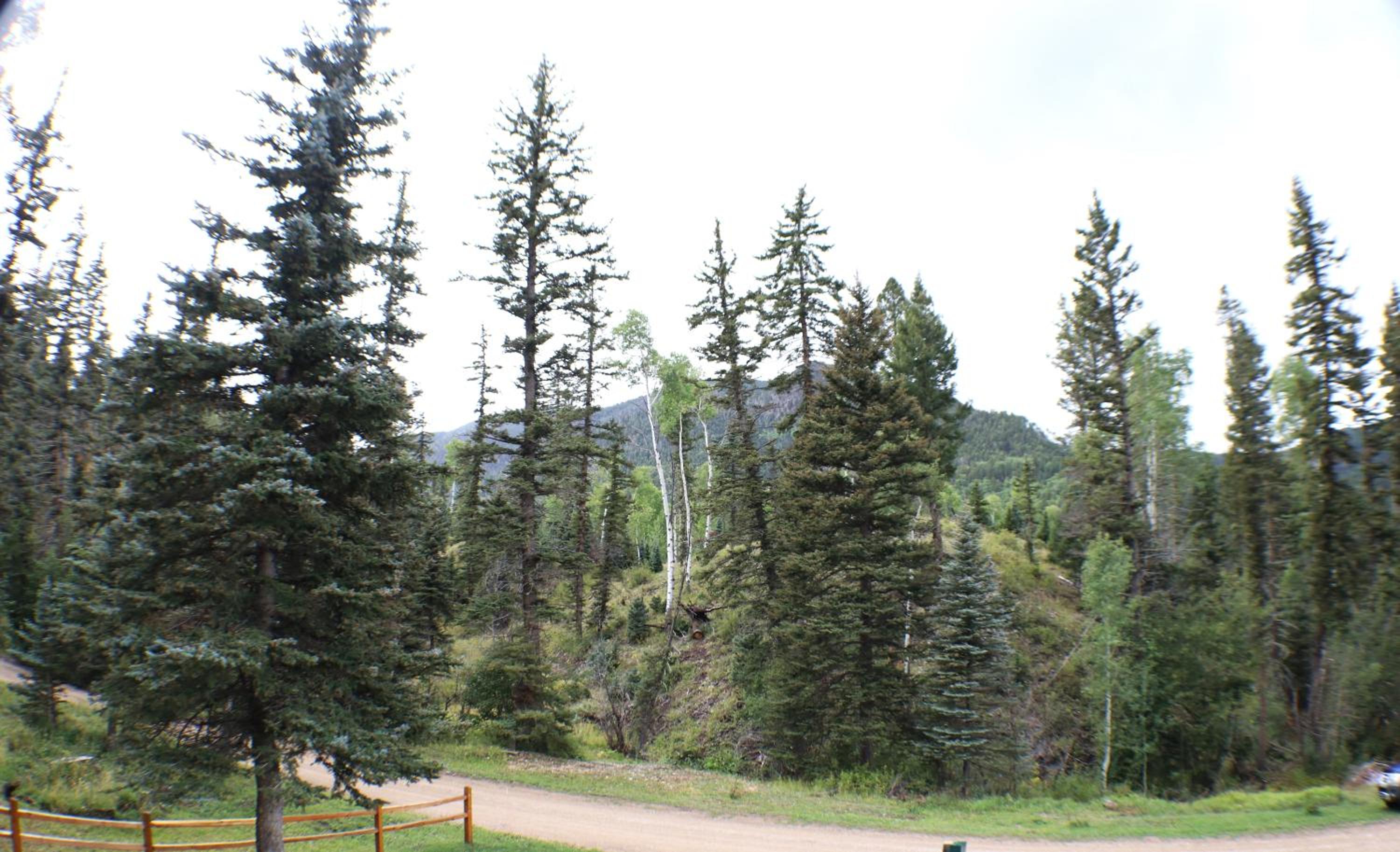 Photo 37