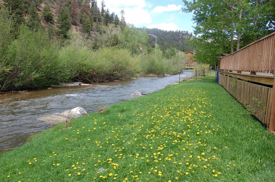 Birds and Bears Retreat - On The River - Pet Friendly - WiFi - Satellite - Washer - Dryer - Large Deck - Grill - Fenced In Yard view 3