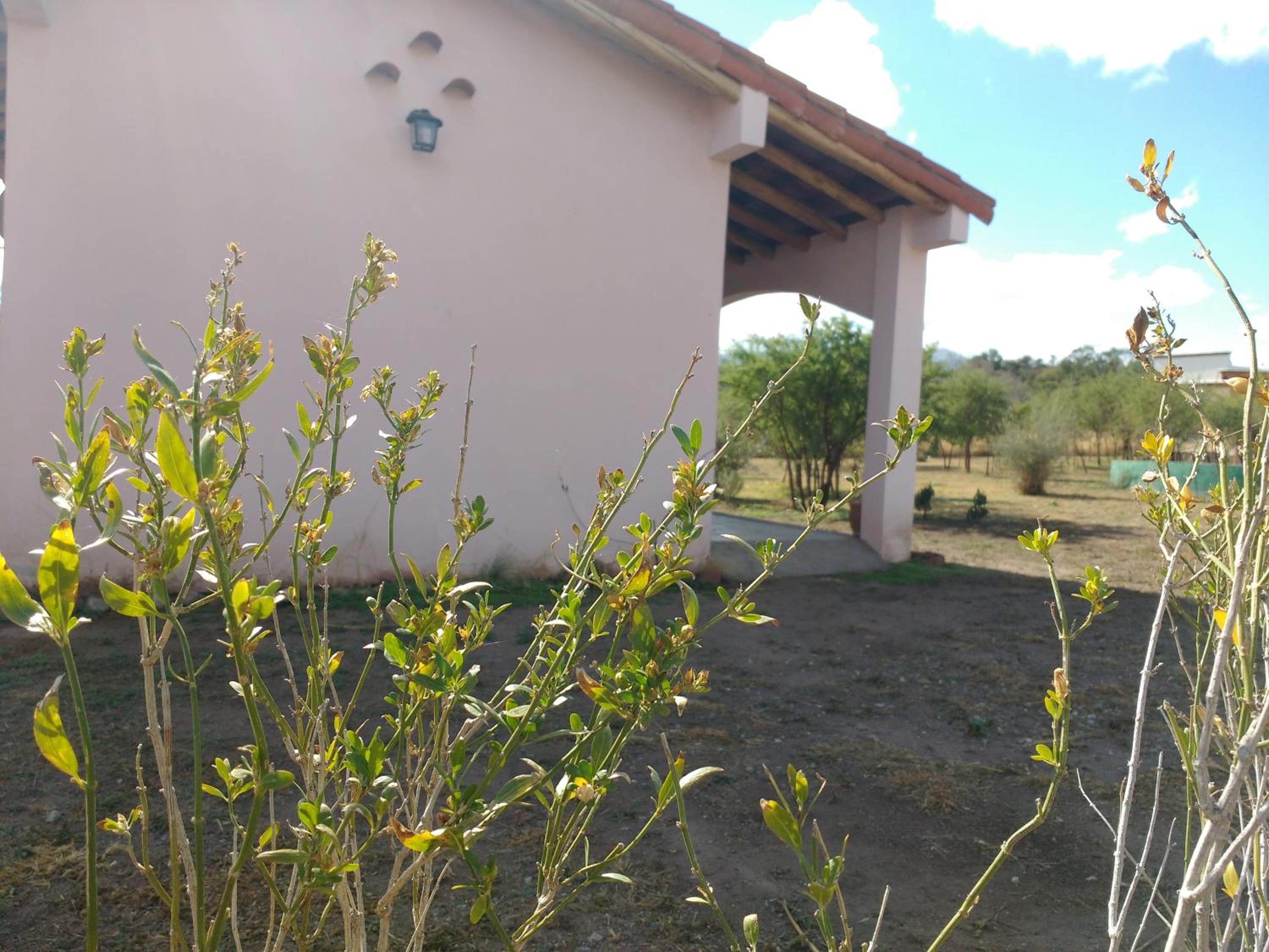 Casas de Epoca -Limerencia