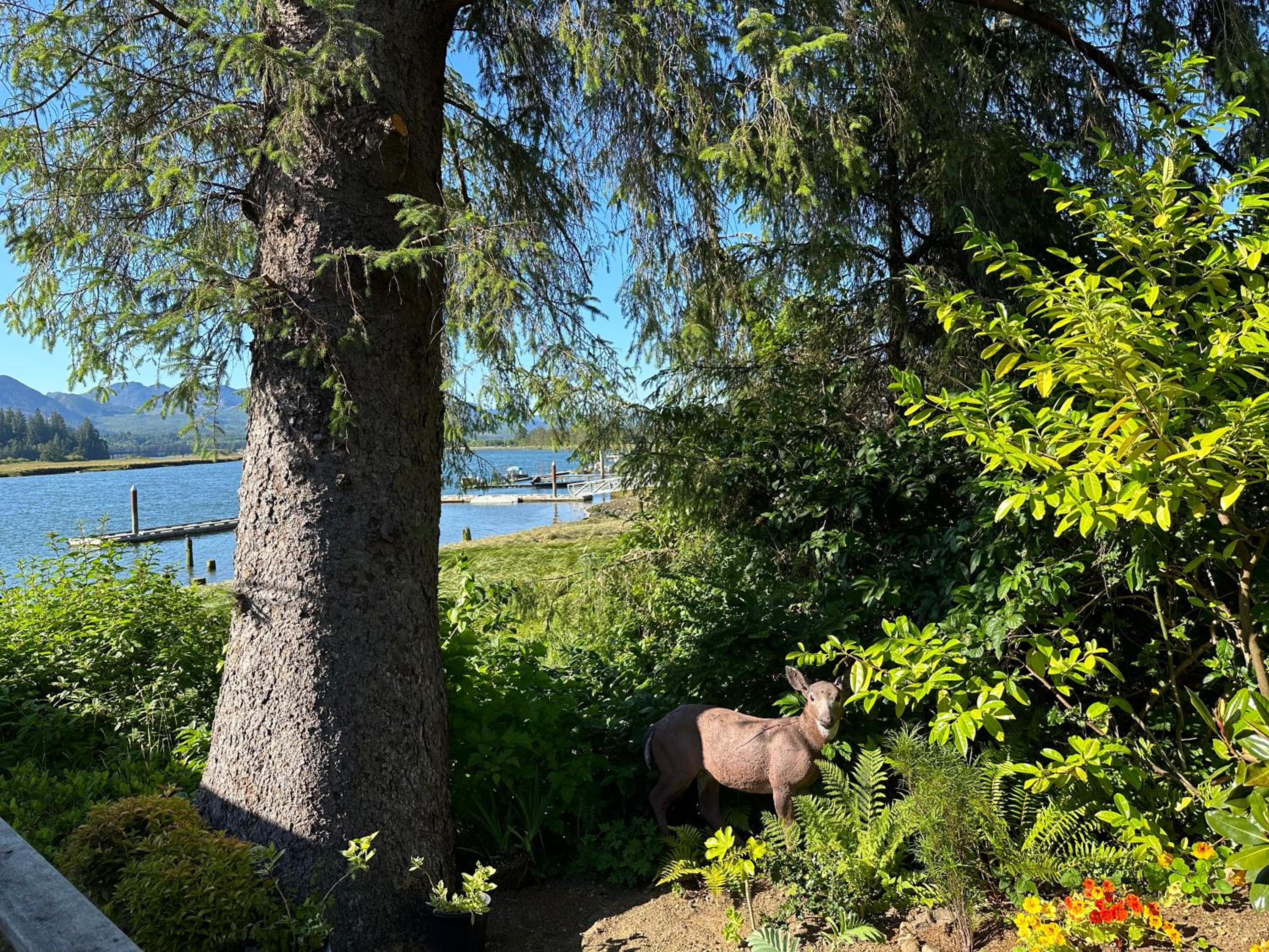 Wheeler on the Bay Lodge and Marina