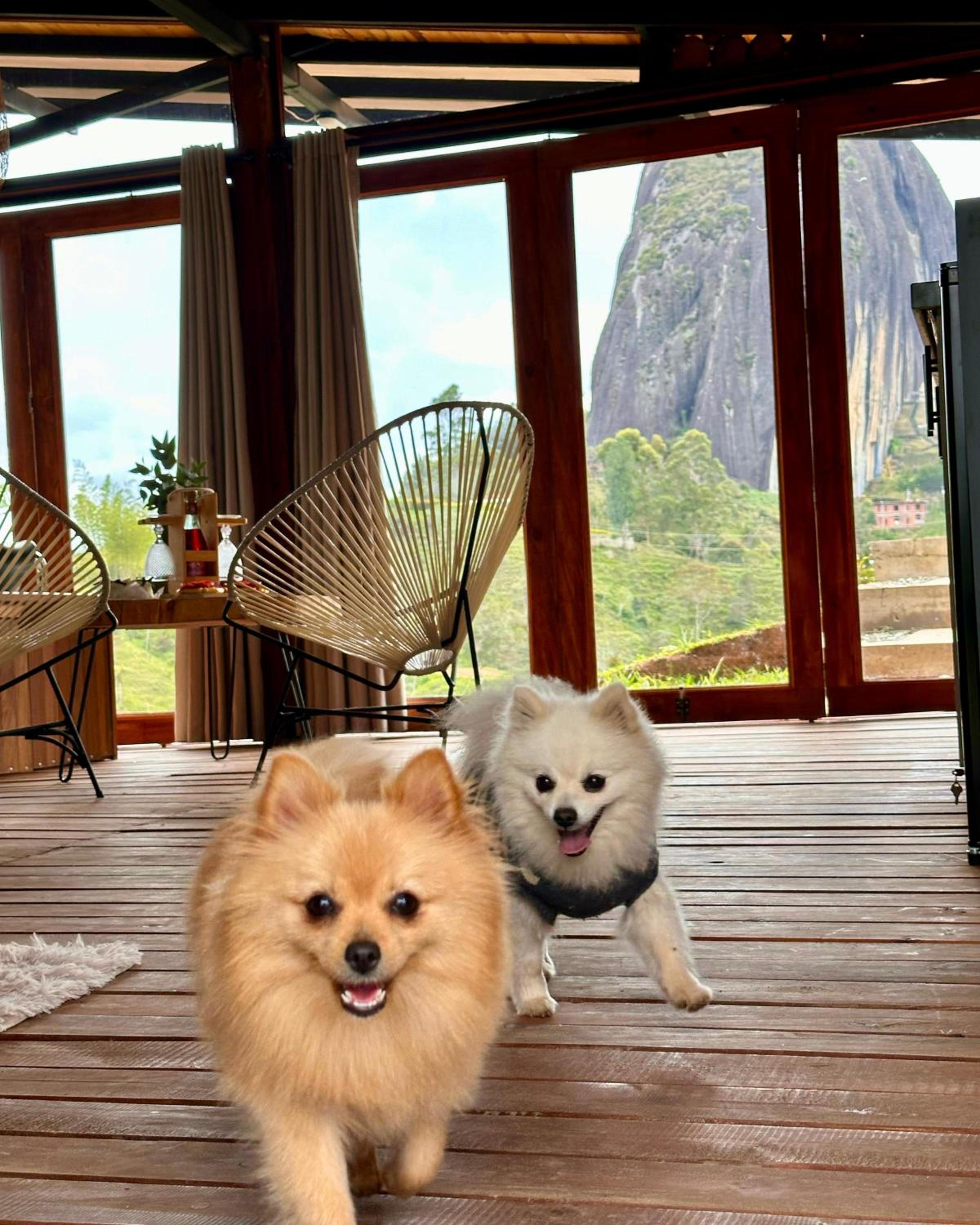 Ecoedén glamping