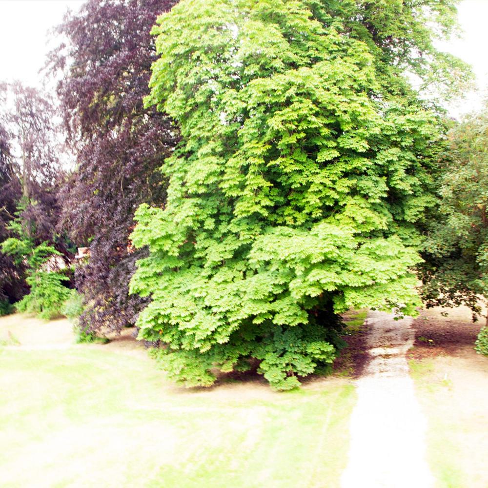 Chateau Morreau