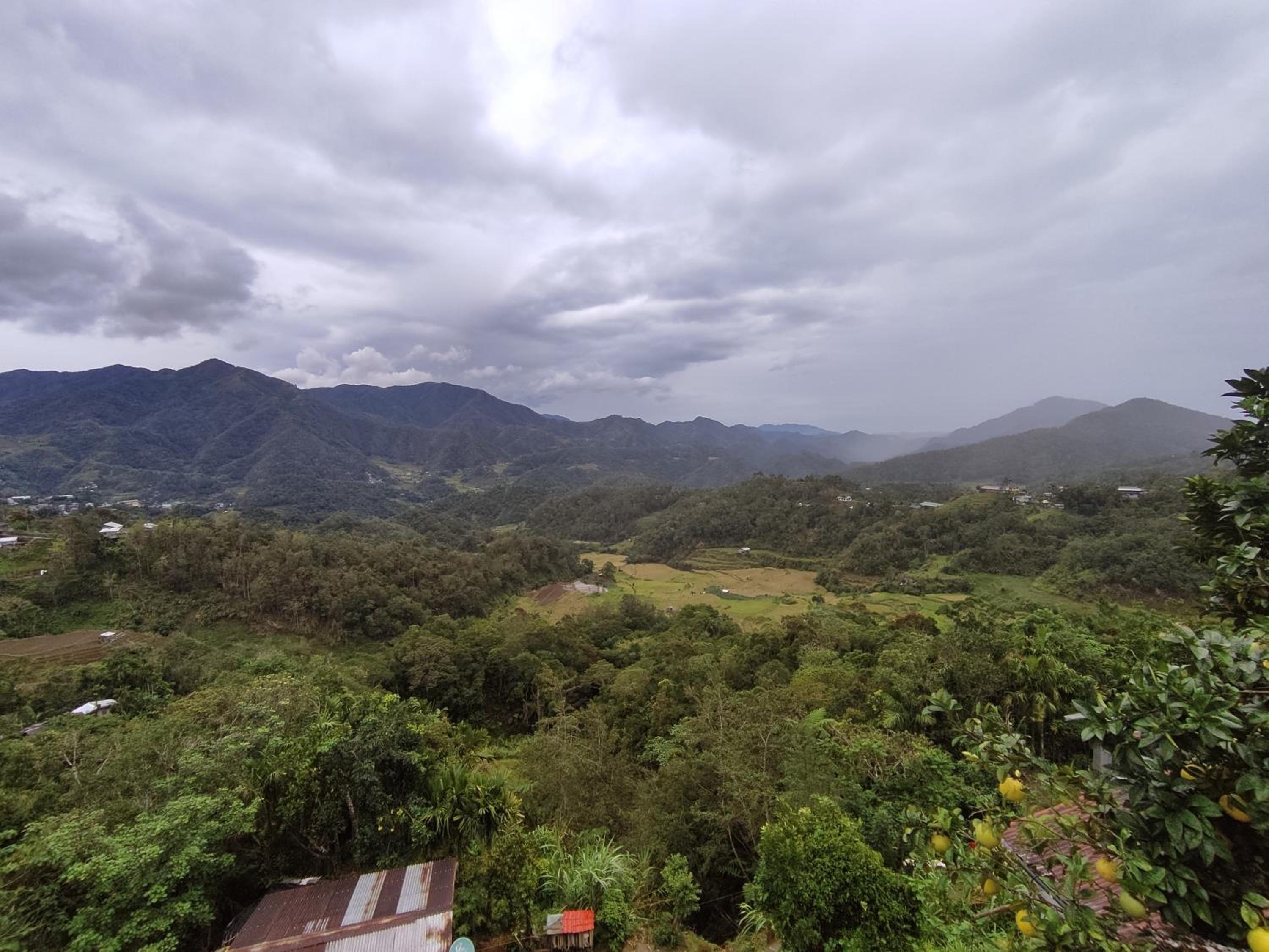 Brklyn Homestay