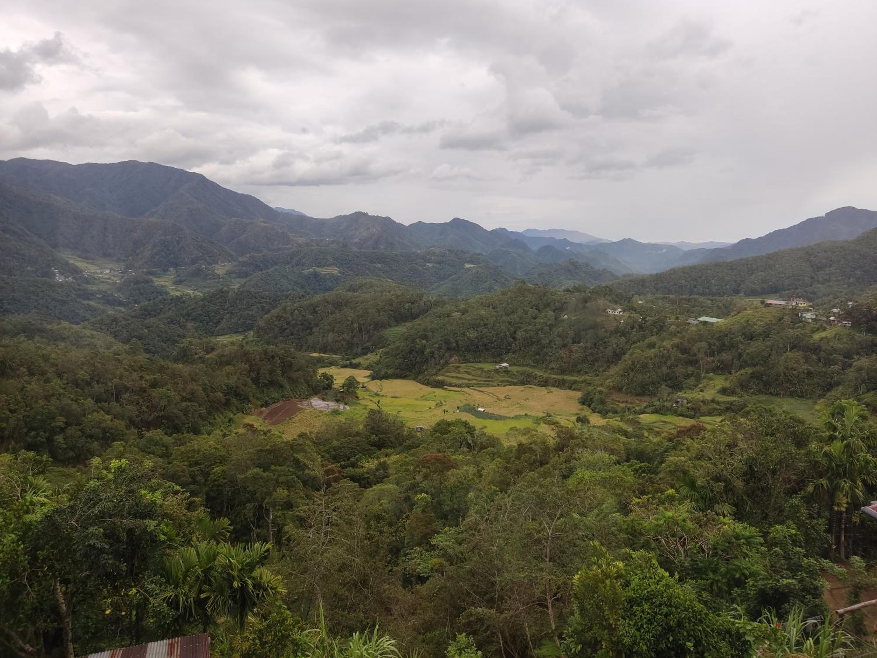 Brklyn Homestay