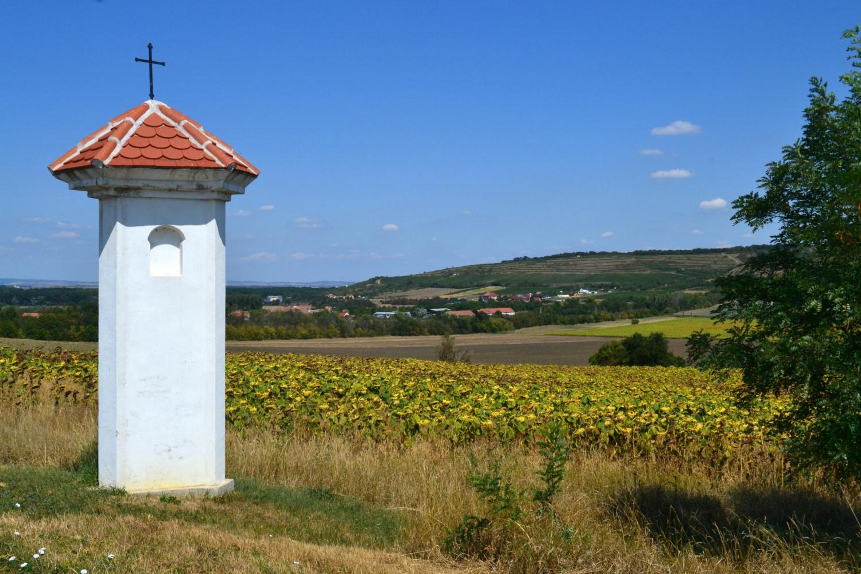 Vinný apartmán Pouzdřany