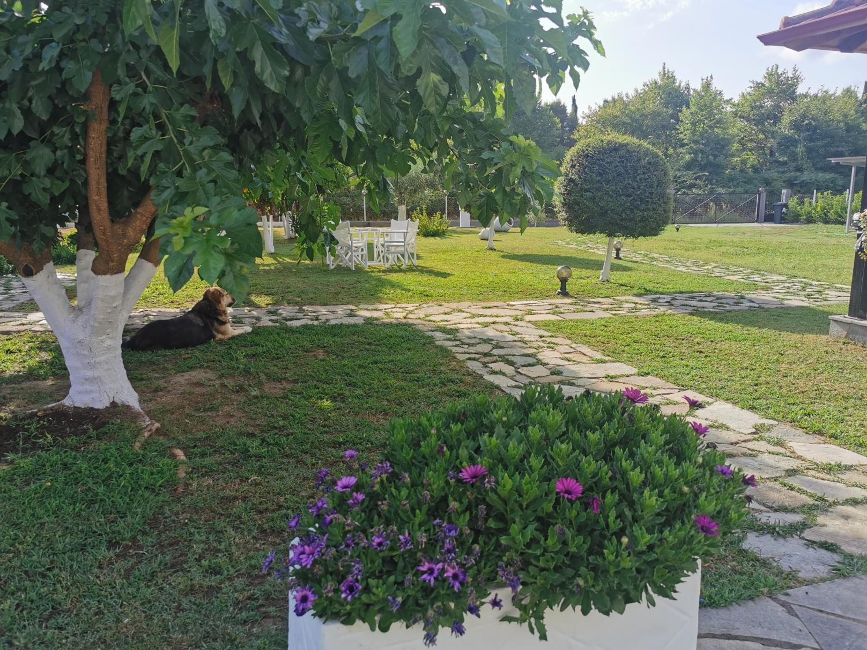 Villa Adamidis