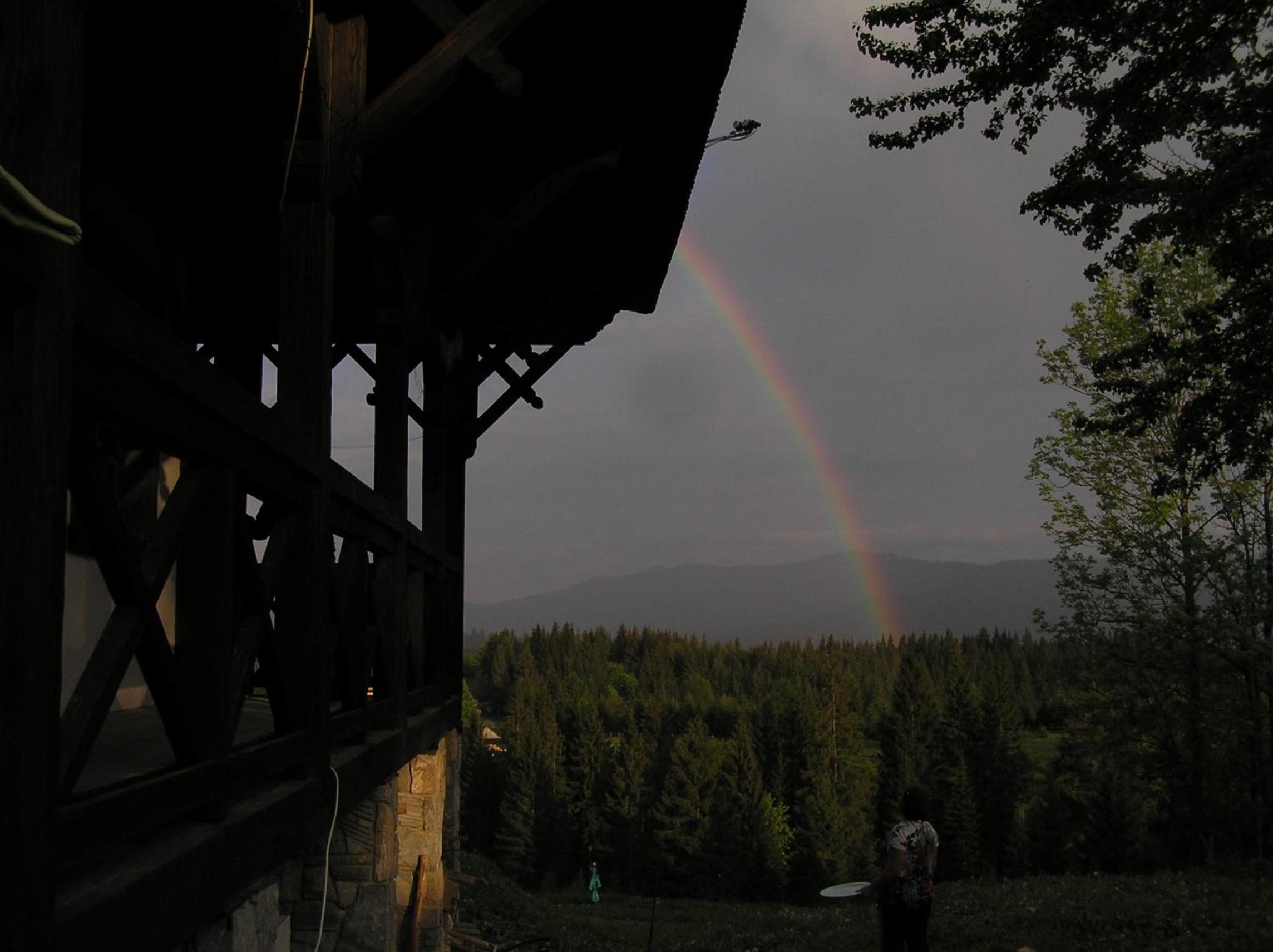 Photo 102