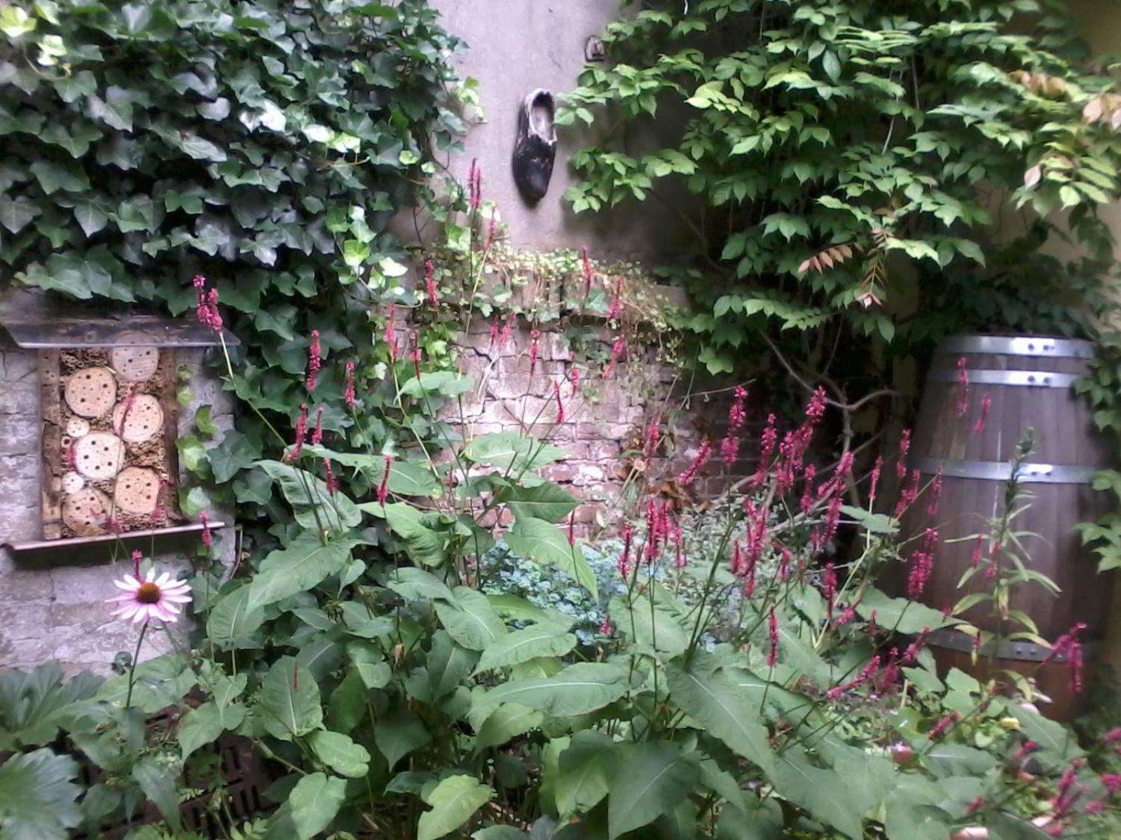 Photo 32