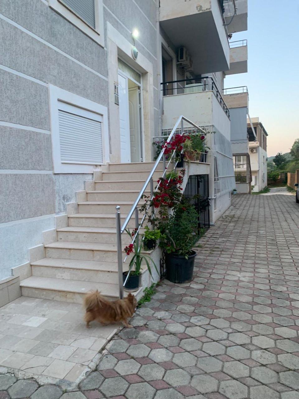 Elis apartment