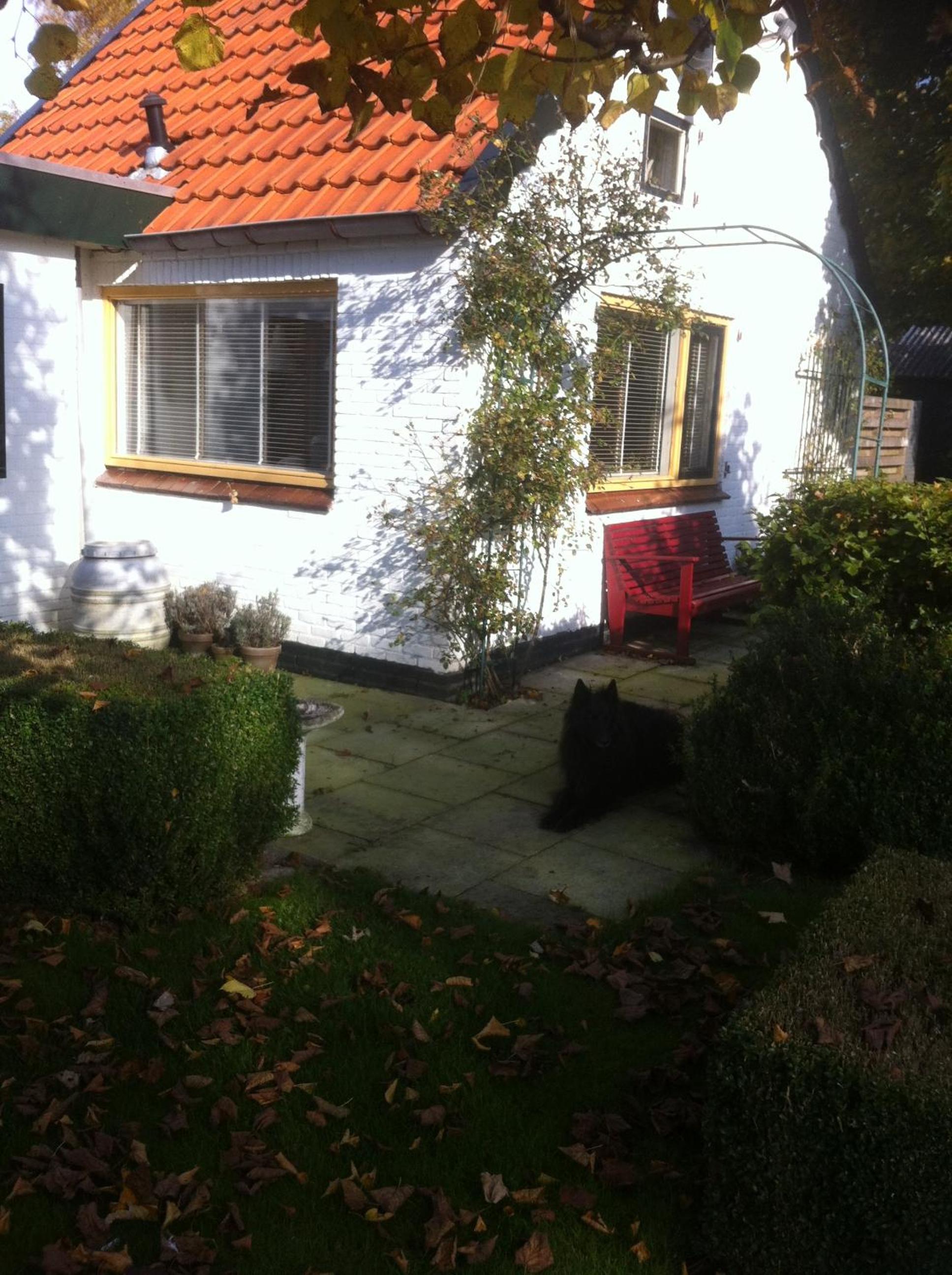 Photo 23