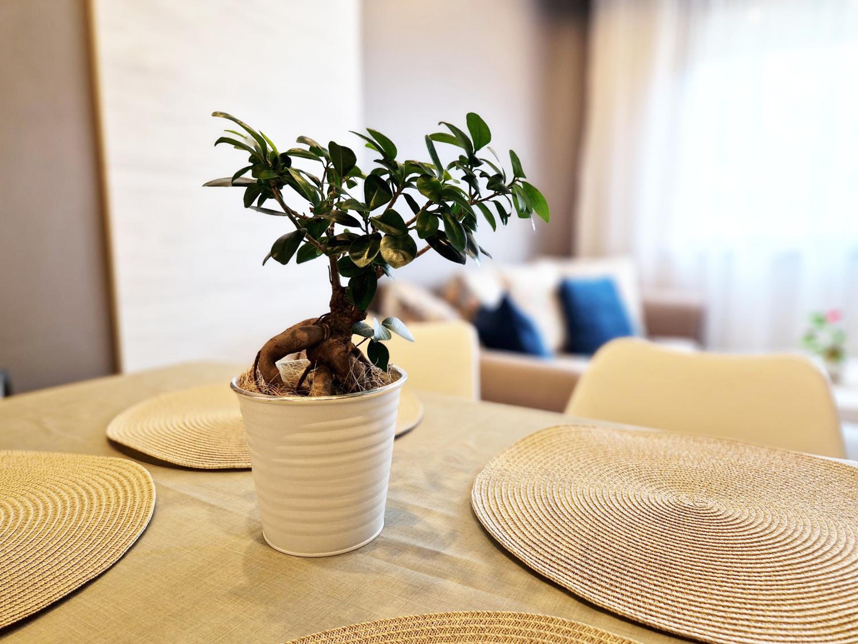 Central Apartment - Spacious designer property in Stara Zagora