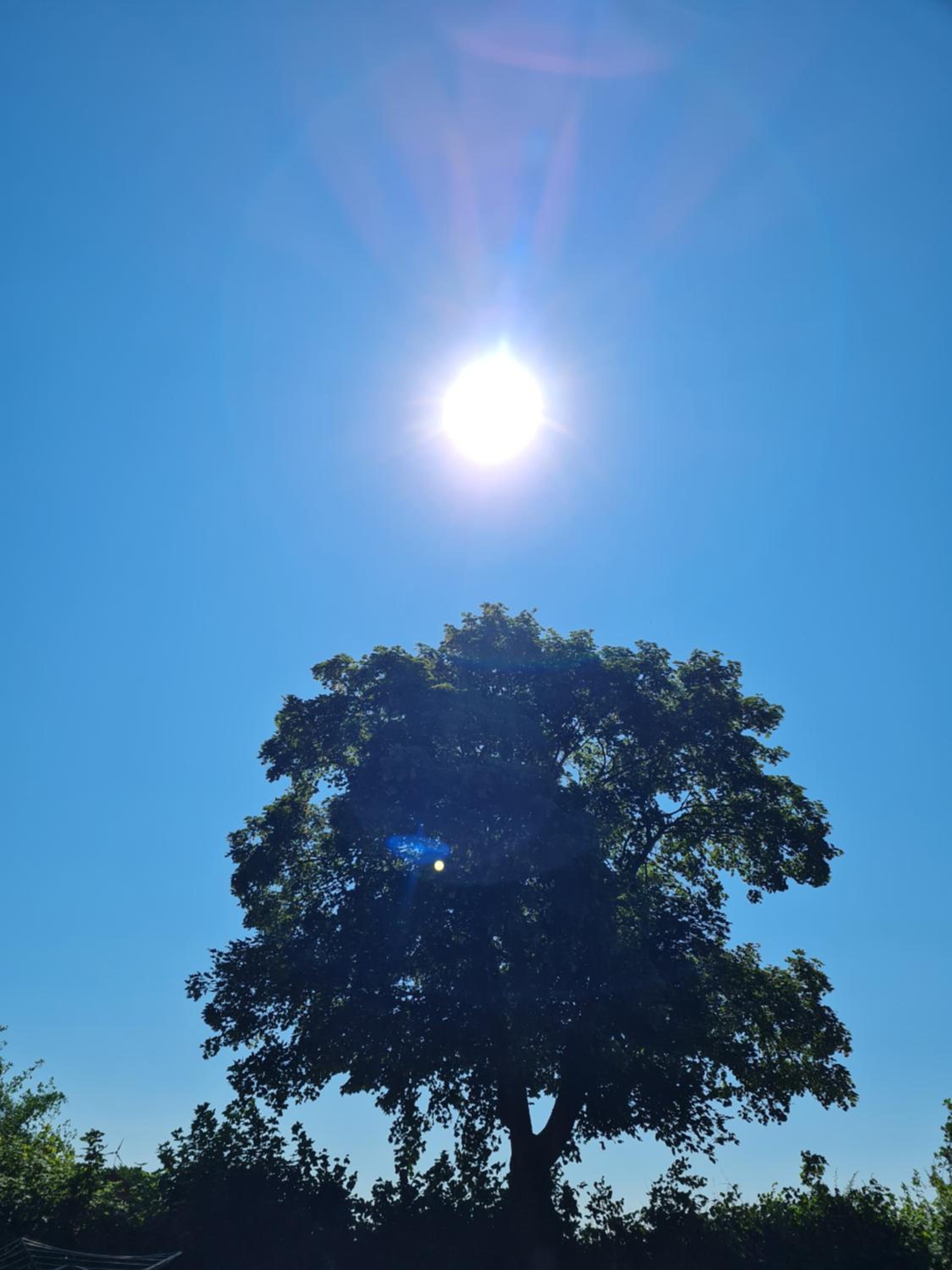 Naturlig Viis