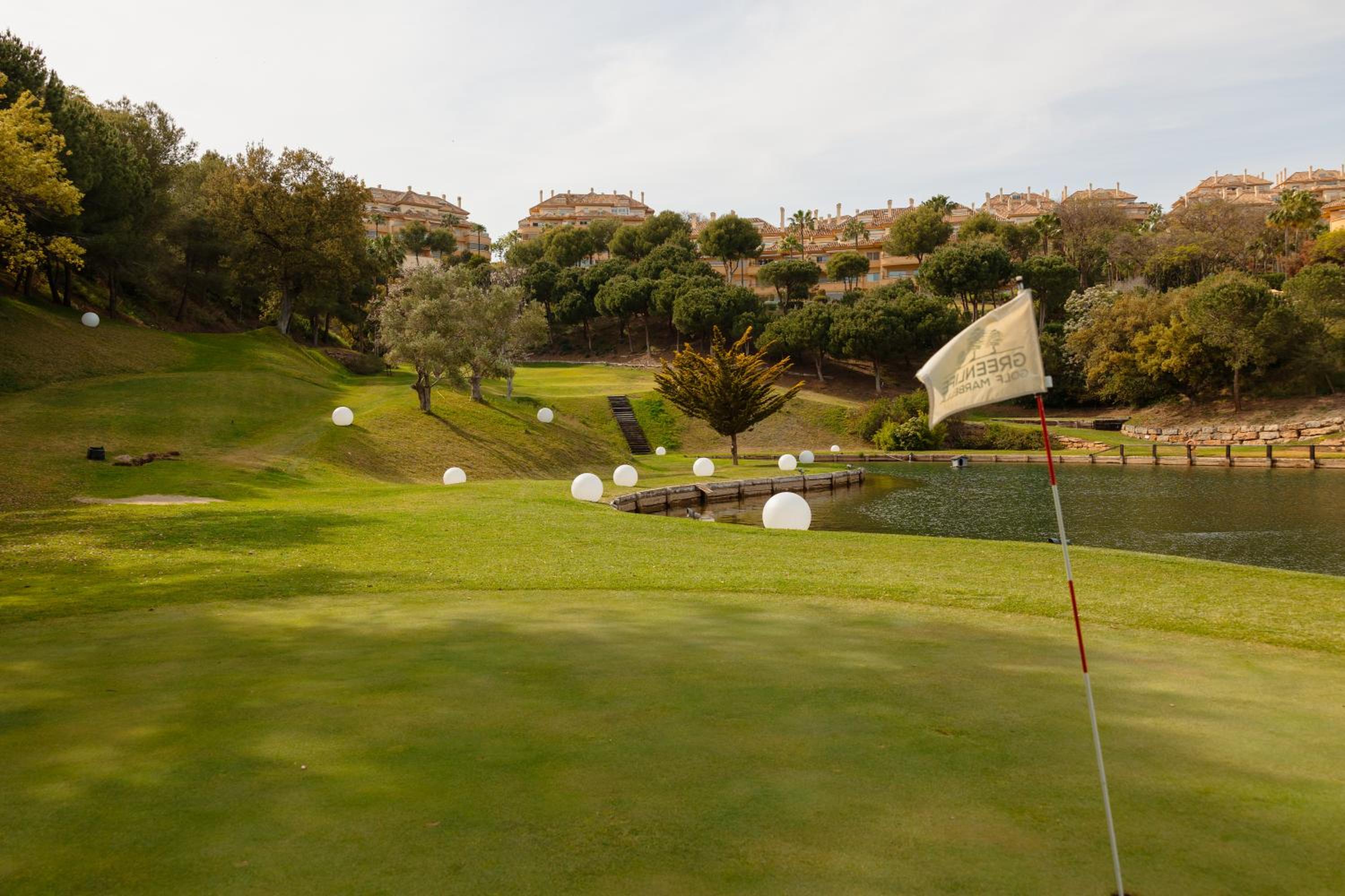 Villa in Elviria, a retreat among palm trees, with private heated pool and barbecue, Marbella view 3
