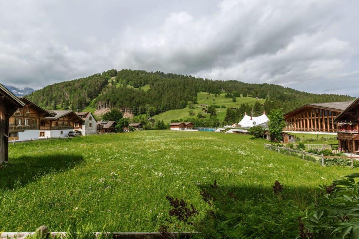 Gstaad Luxurious flat with terrace stunning views