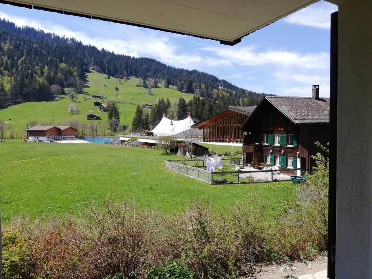 Gstaad Luxurious flat with terrace stunning views