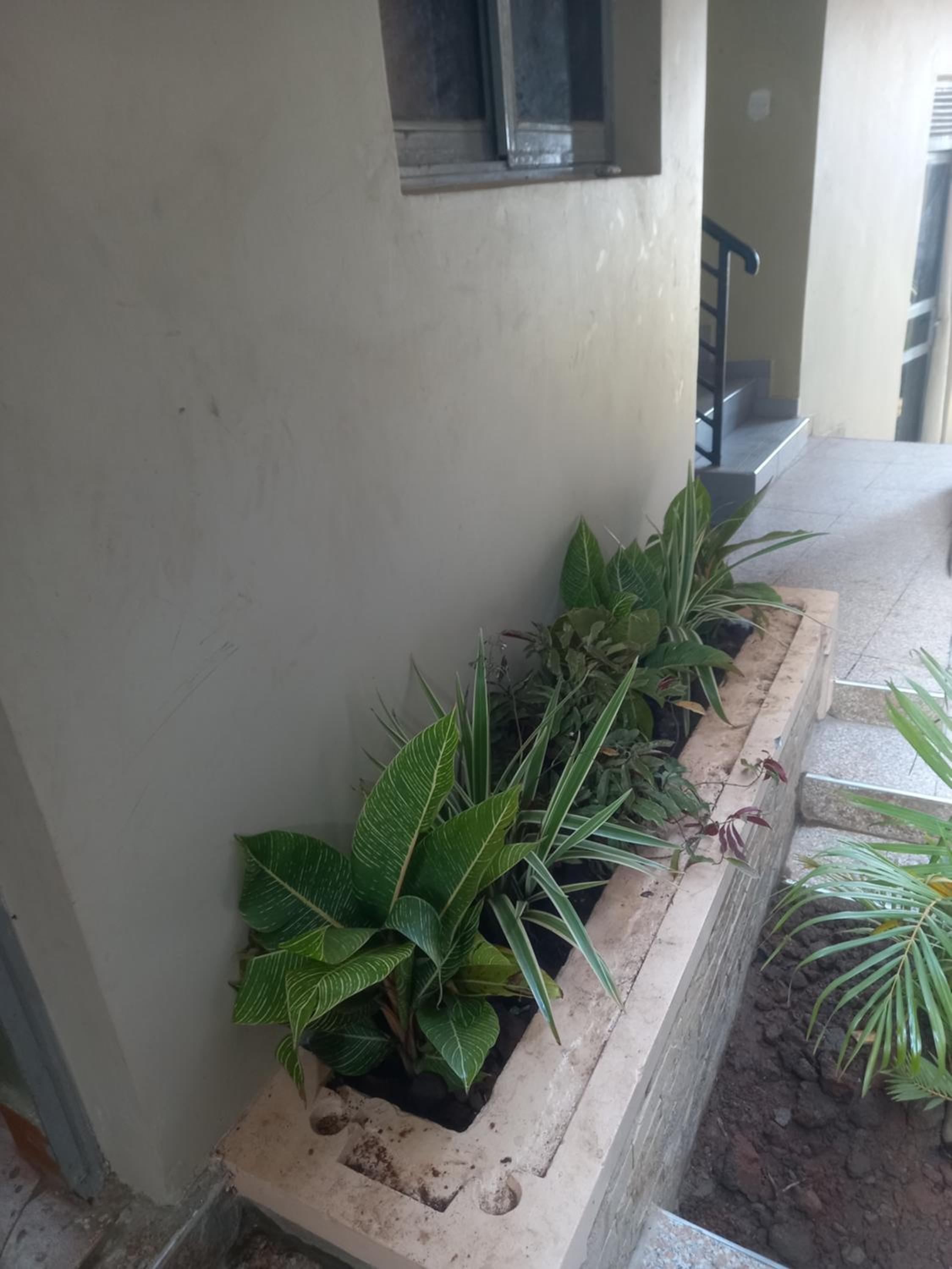 Blue Terrace Residence view 2