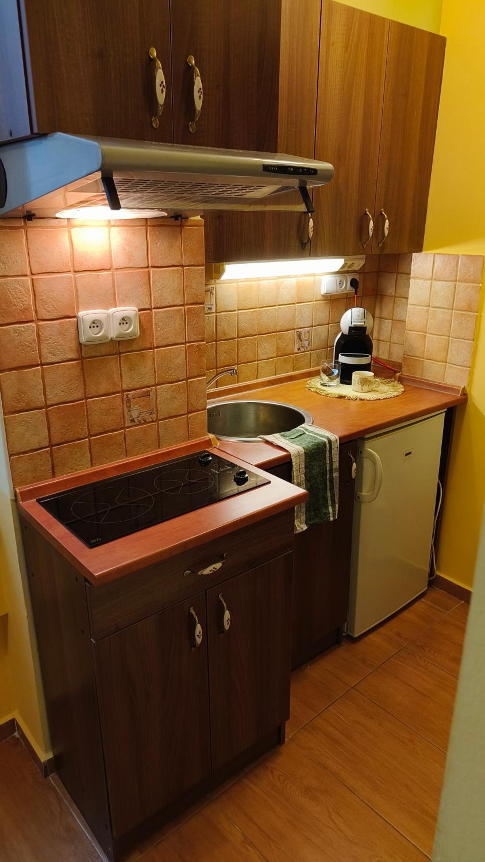 Apartment in Old Town City Center Karlovy Vary