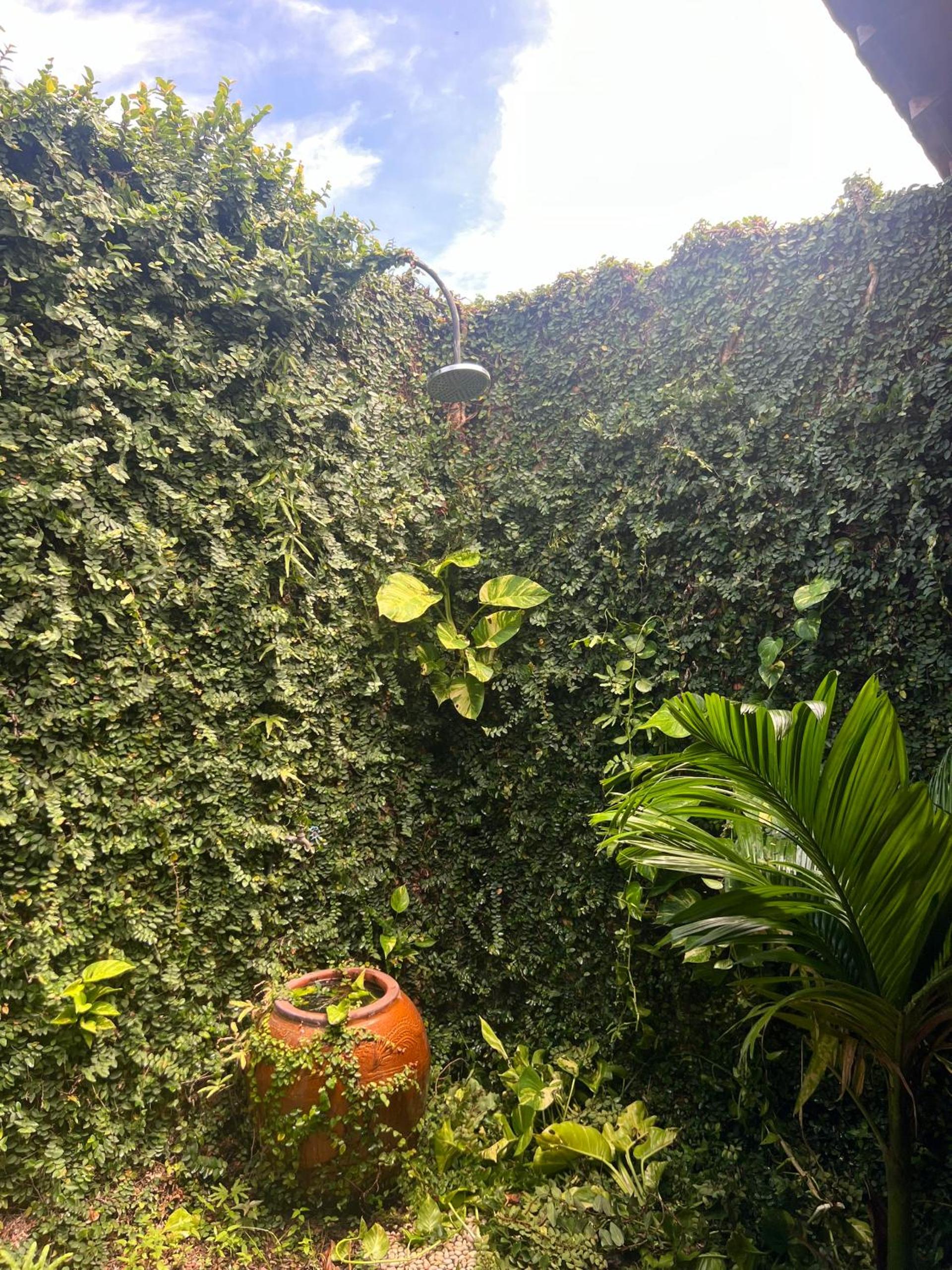 Photo 35