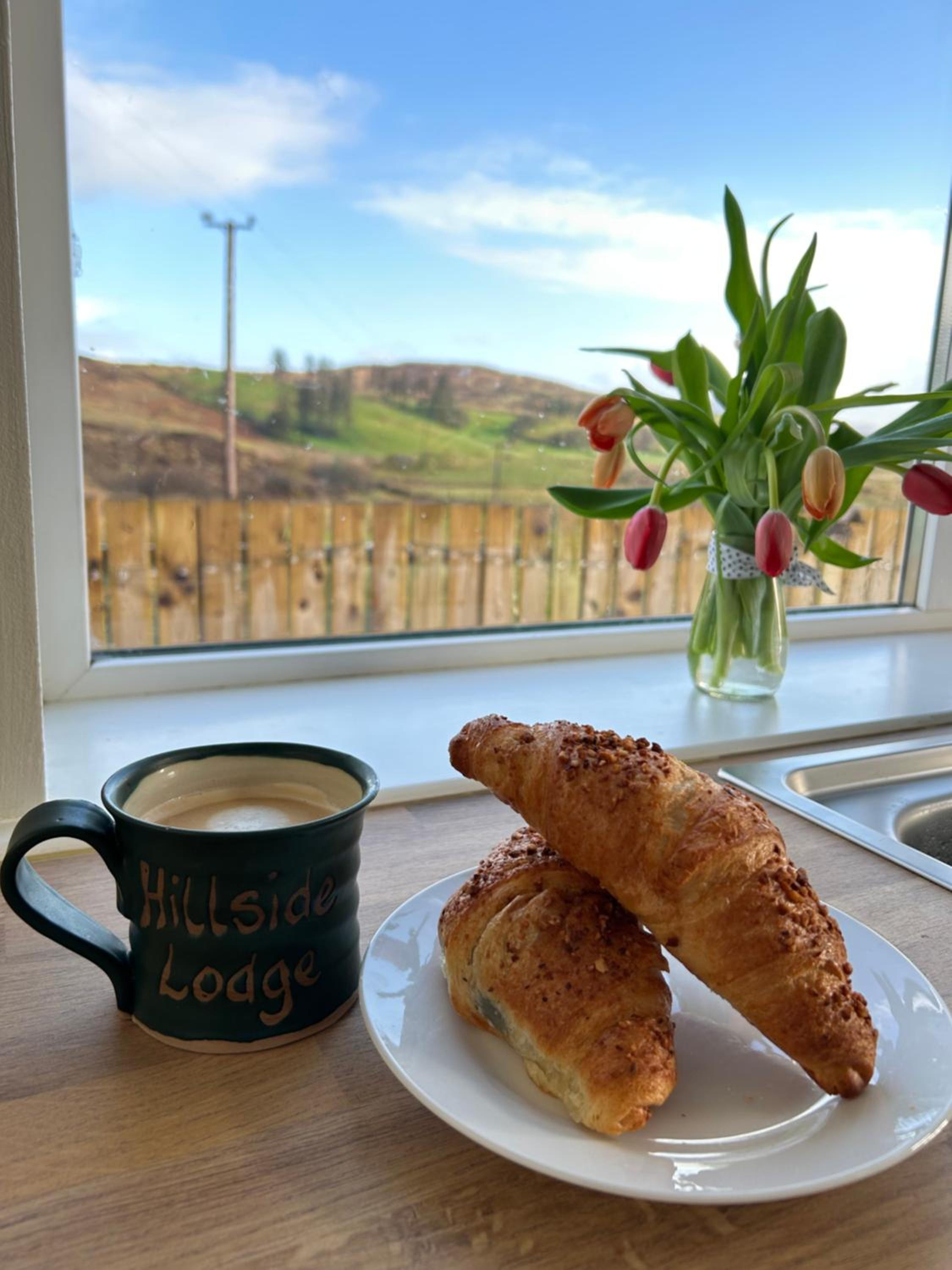 Hillside Lodge