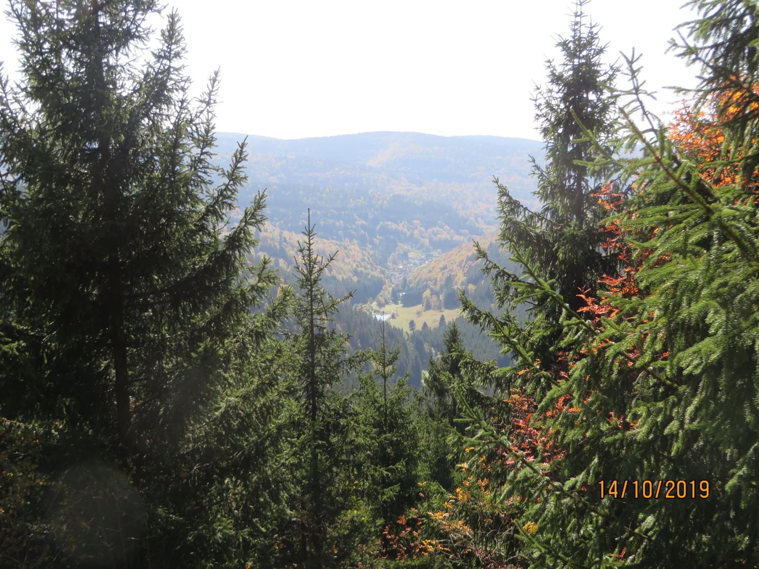 Bergblick