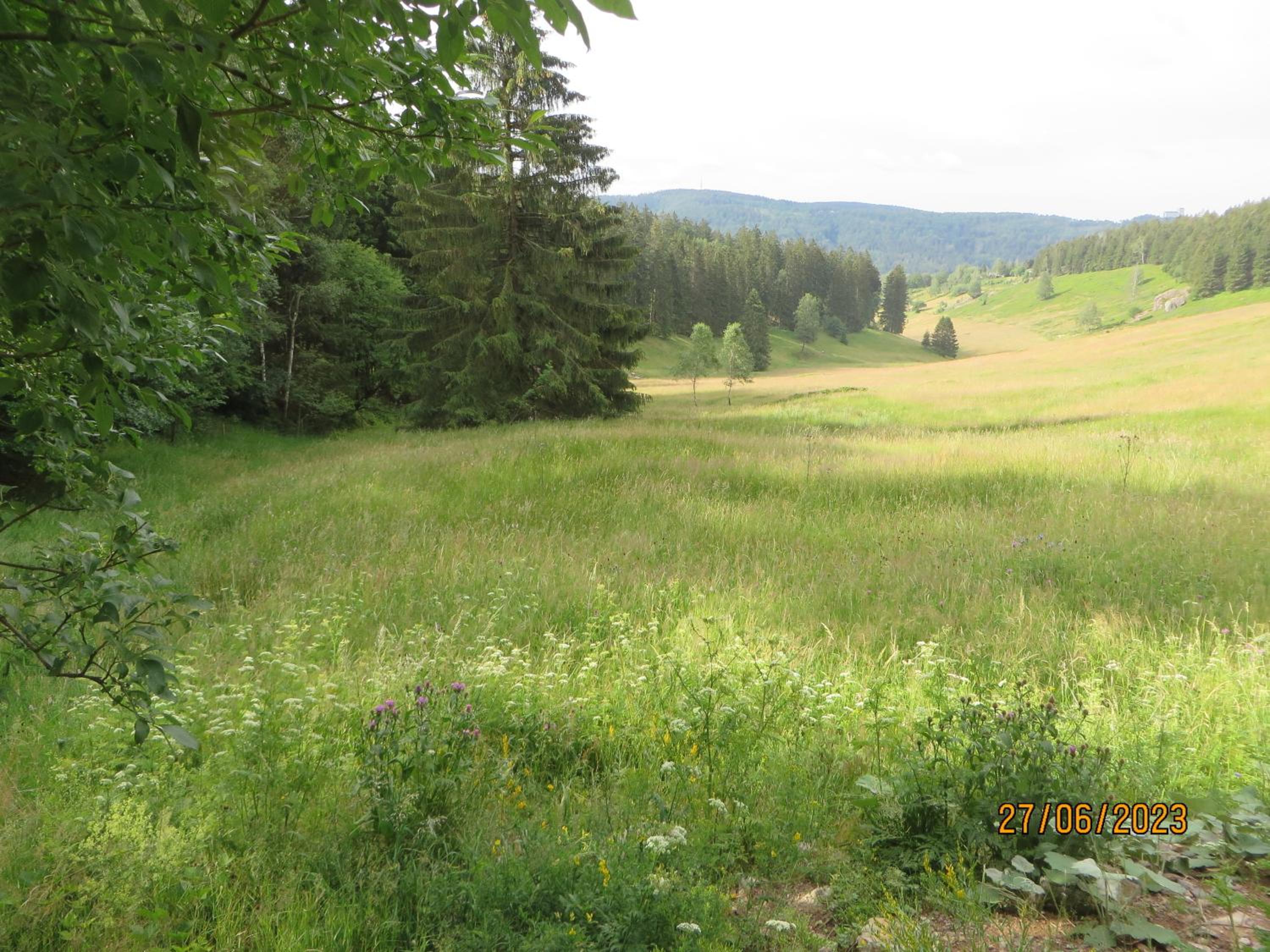 Bergblick