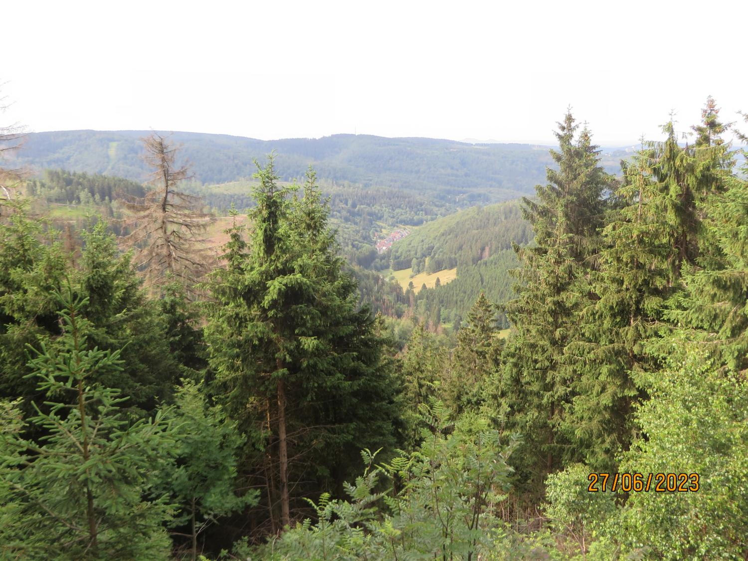 Bergblick