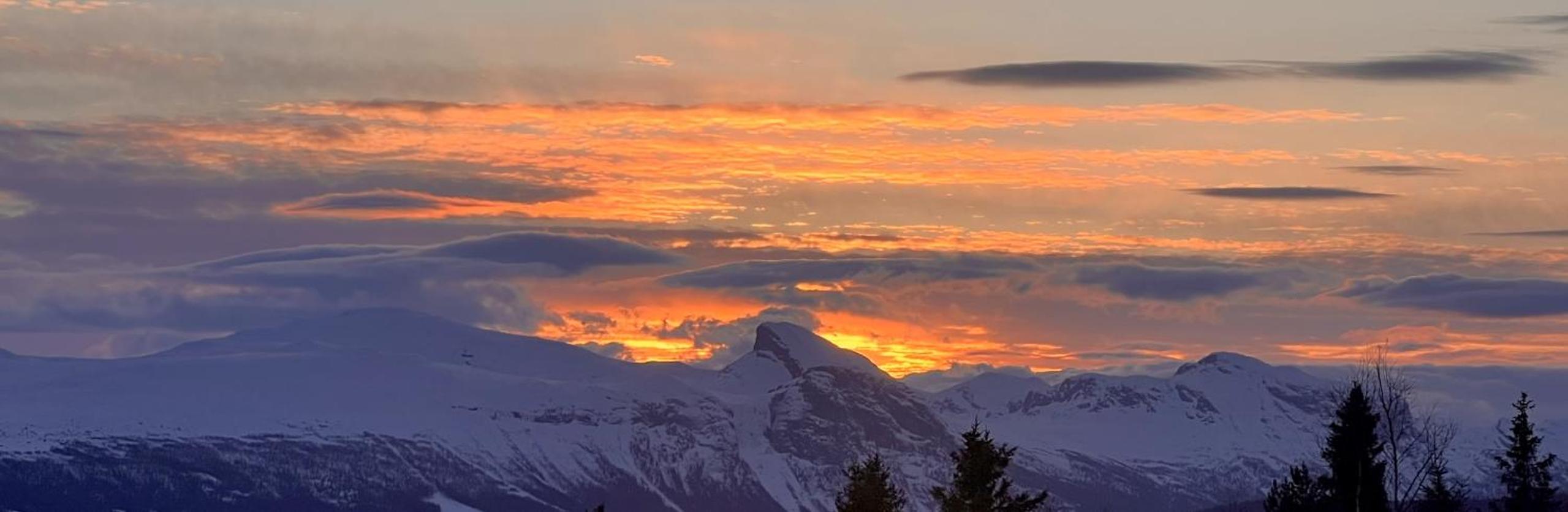 Koselig leilighet med ski in ski out på Golsfjellet