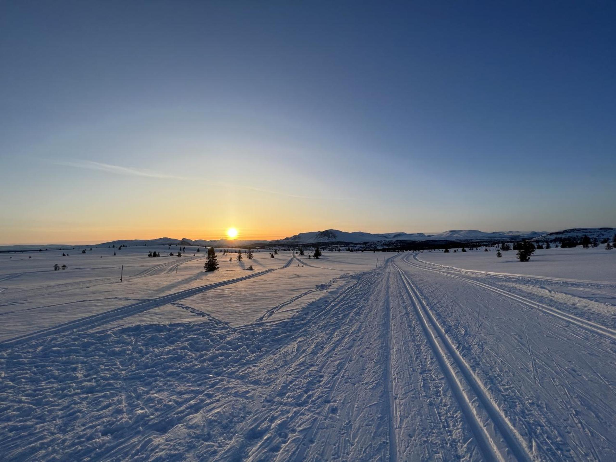 Koselig leilighet med ski in ski out på Golsfjellet