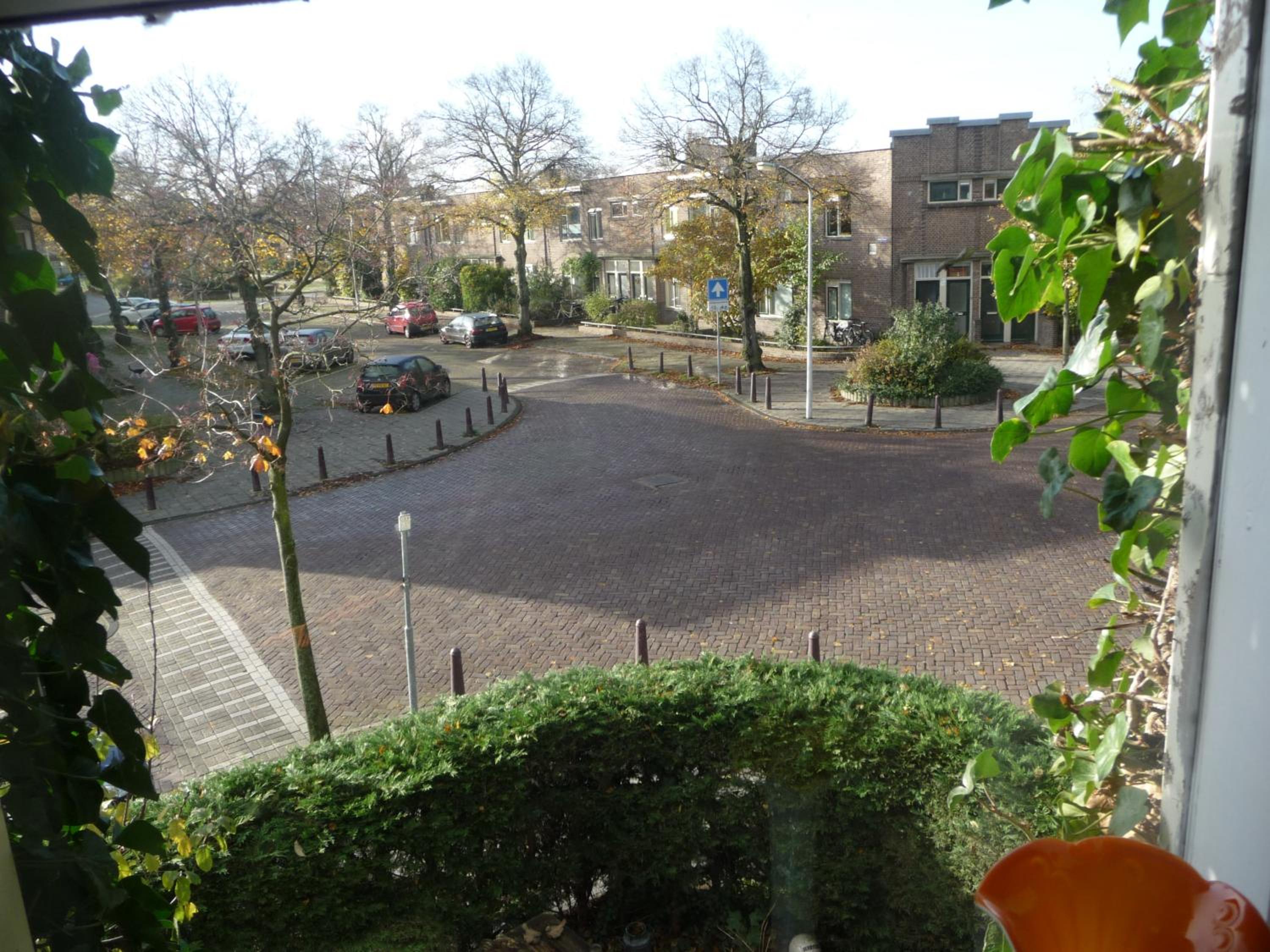 Photo 33