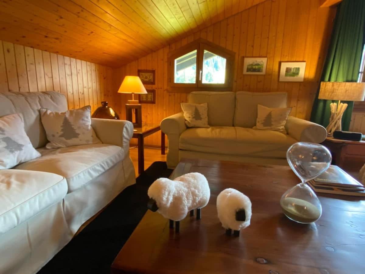 Gstaad - Cozy spacious Flat right in the village