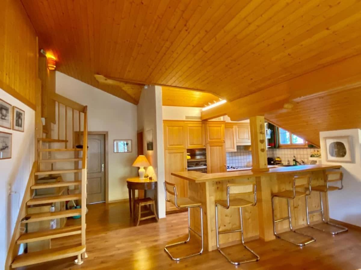 Gstaad - Cozy spacious Flat right in the village