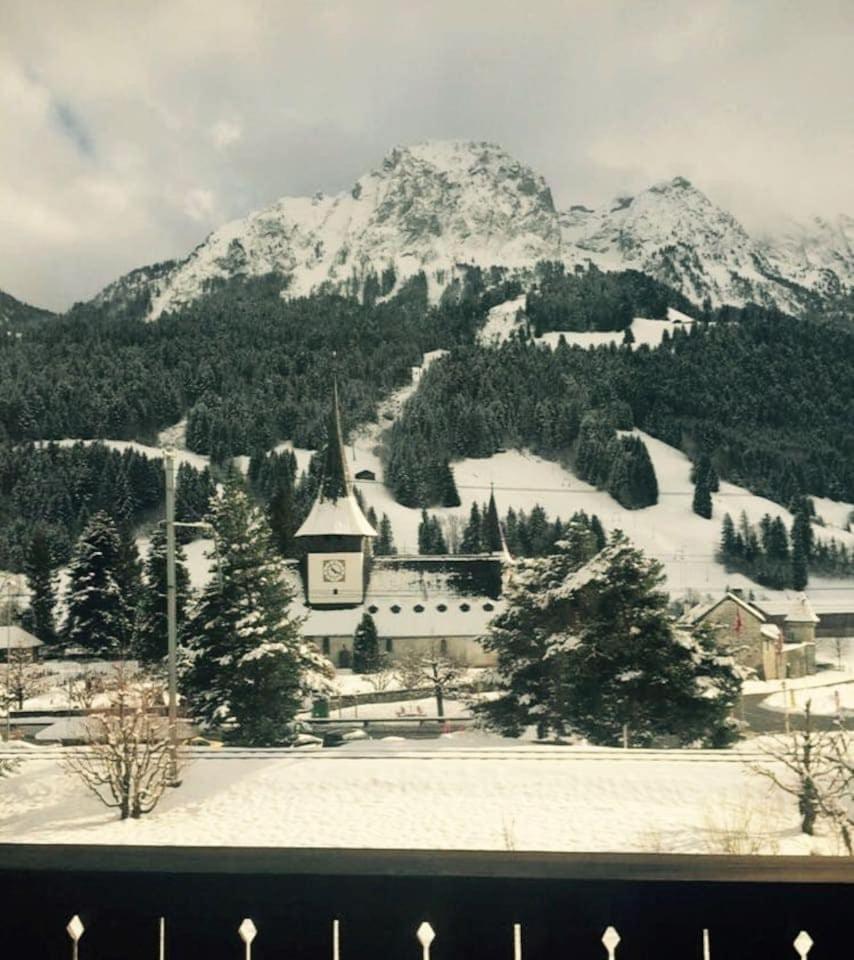 Gstaad - Cozy spacious Flat right in the village