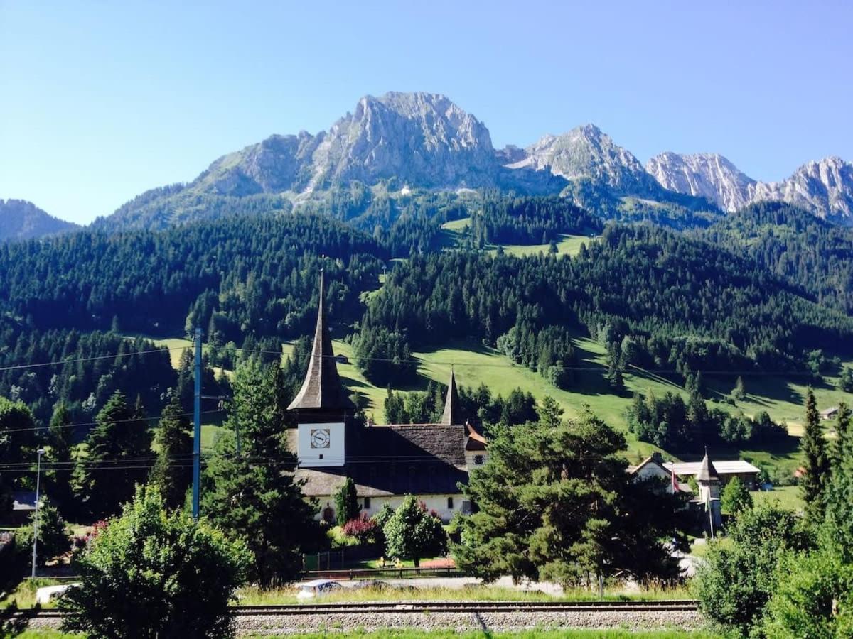 Gstaad - Cozy spacious Flat right in the village