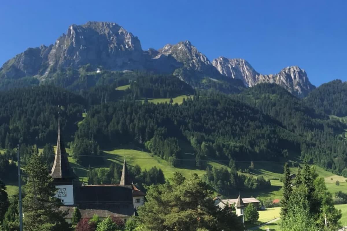 Gstaad - Cozy spacious Flat right in the village
