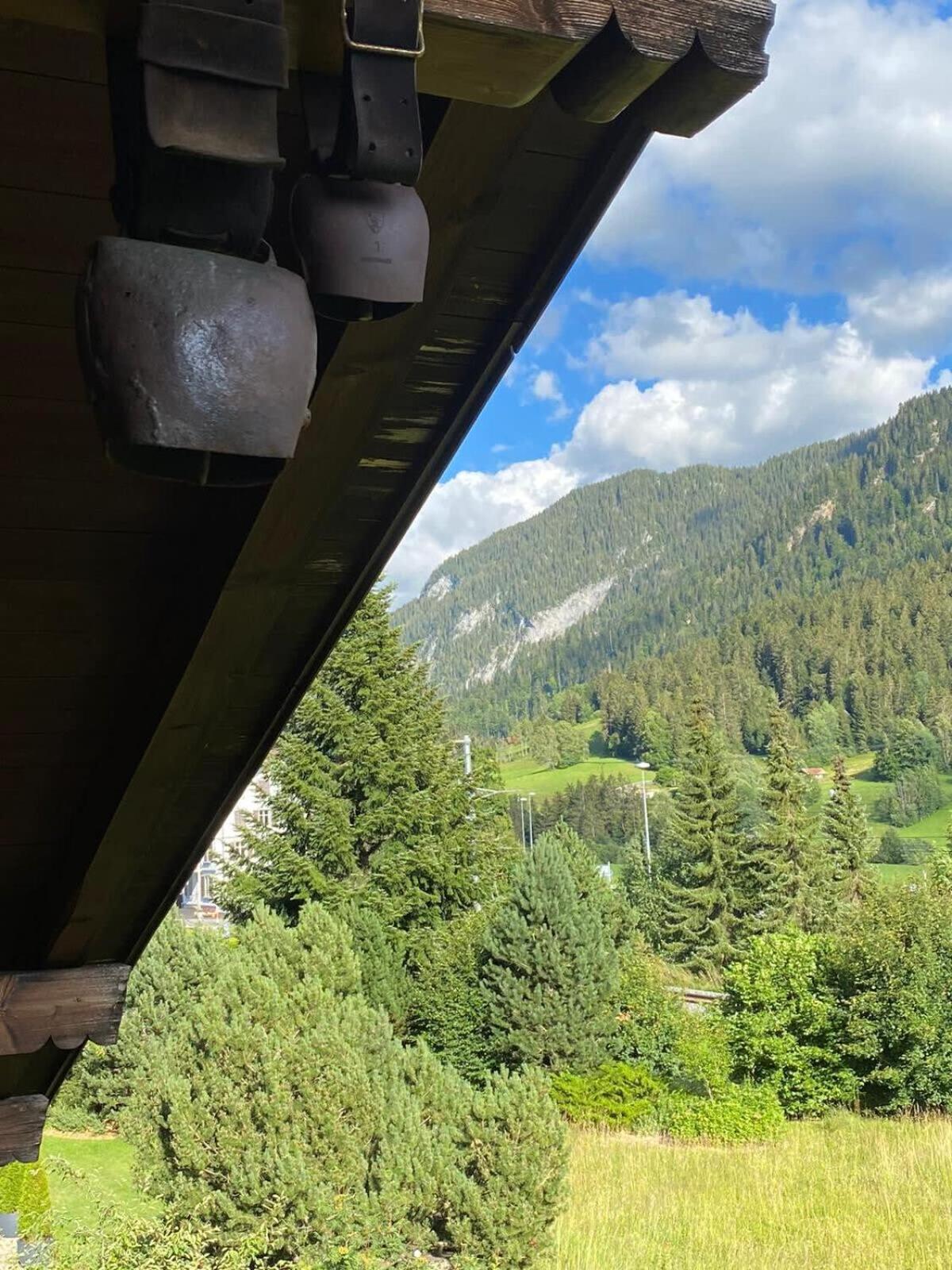 Gstaad - Cozy spacious Flat right in the village