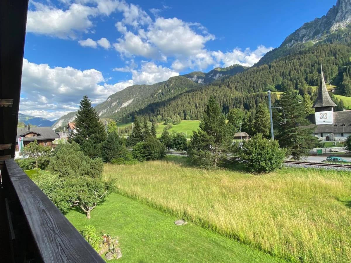 Gstaad - Cozy spacious Flat right in the village