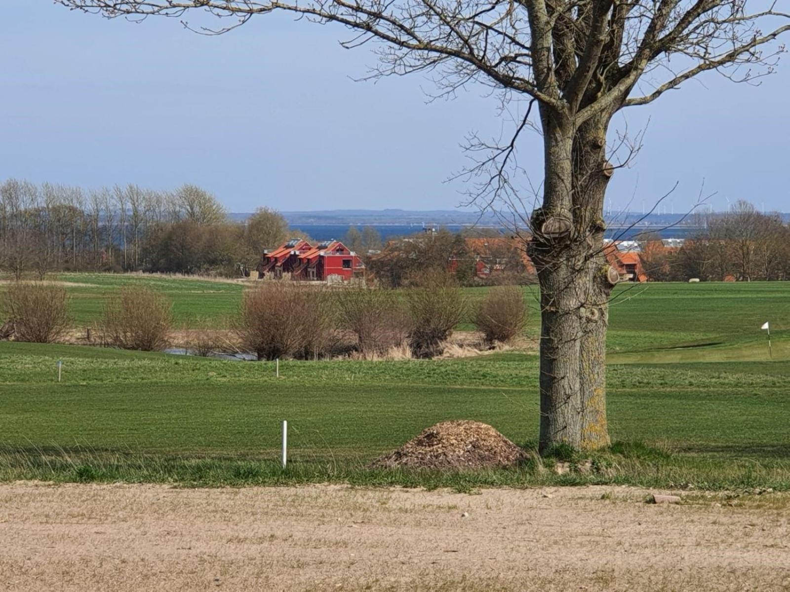 Ferienwohnung -