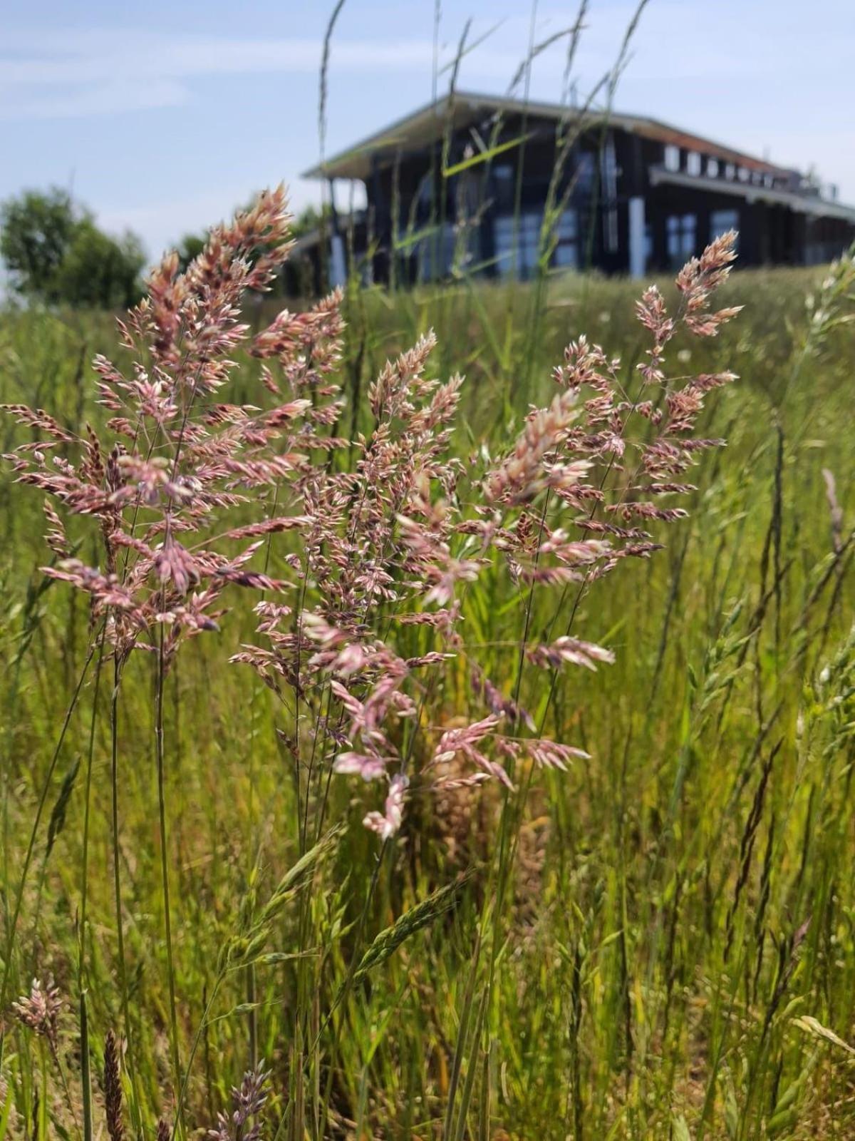 Ferienwohnung -