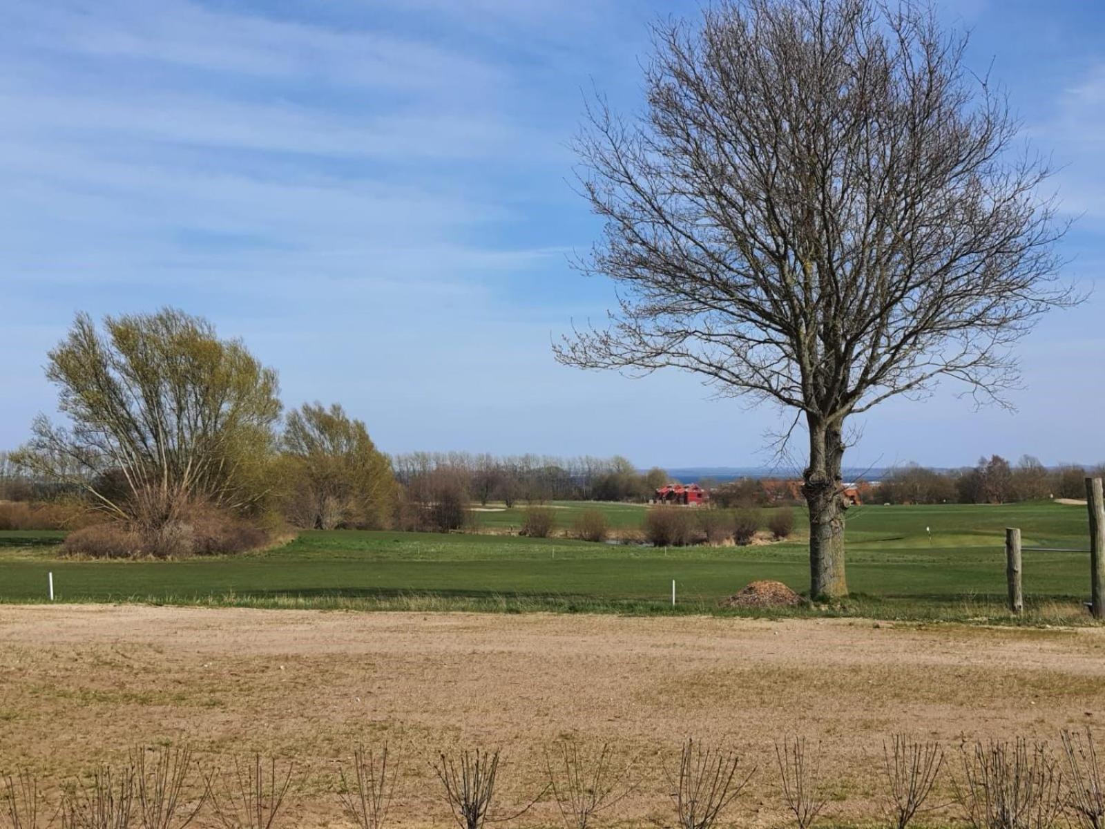 Ferienwohnung -