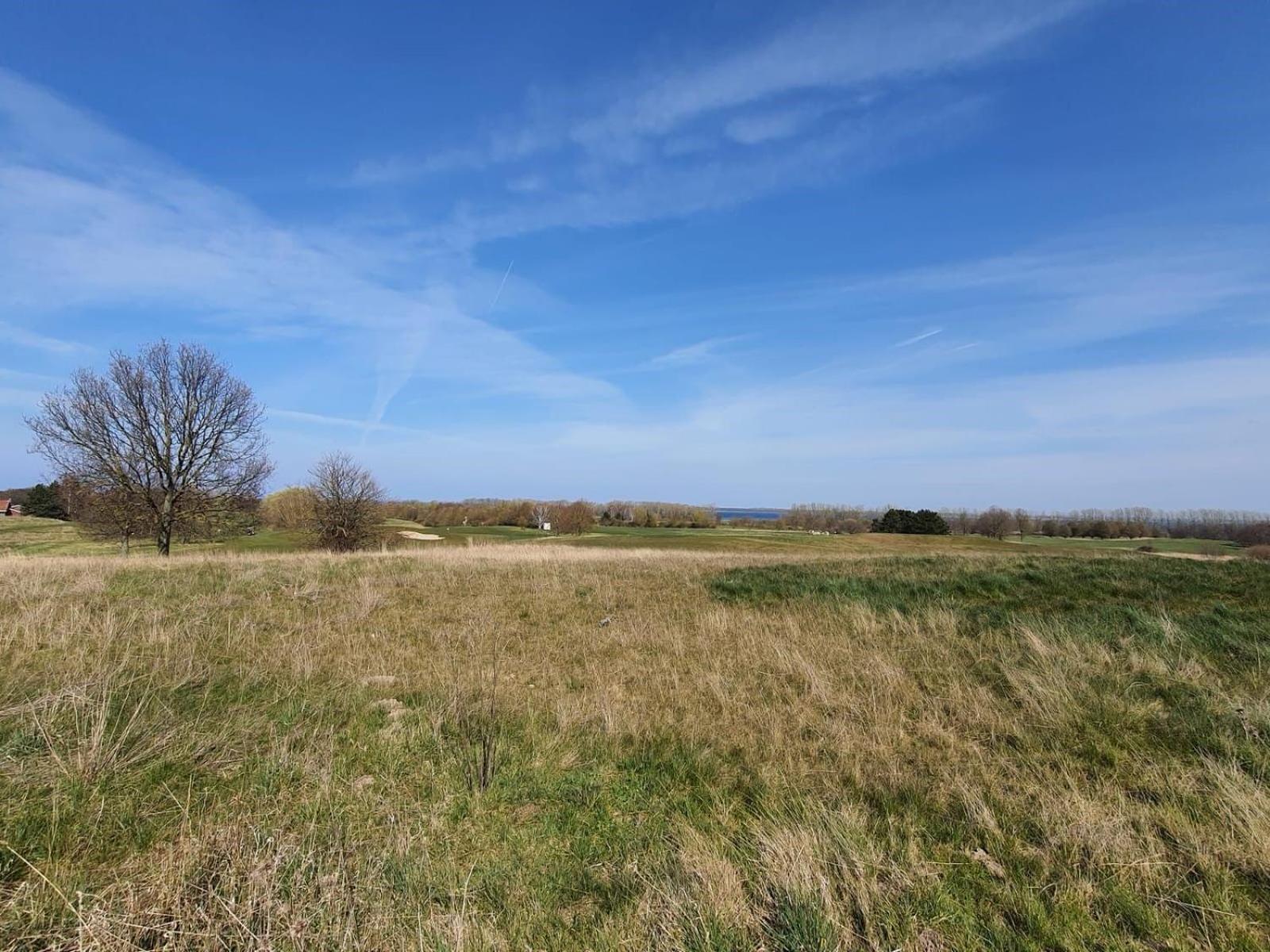Ferienwohnung -