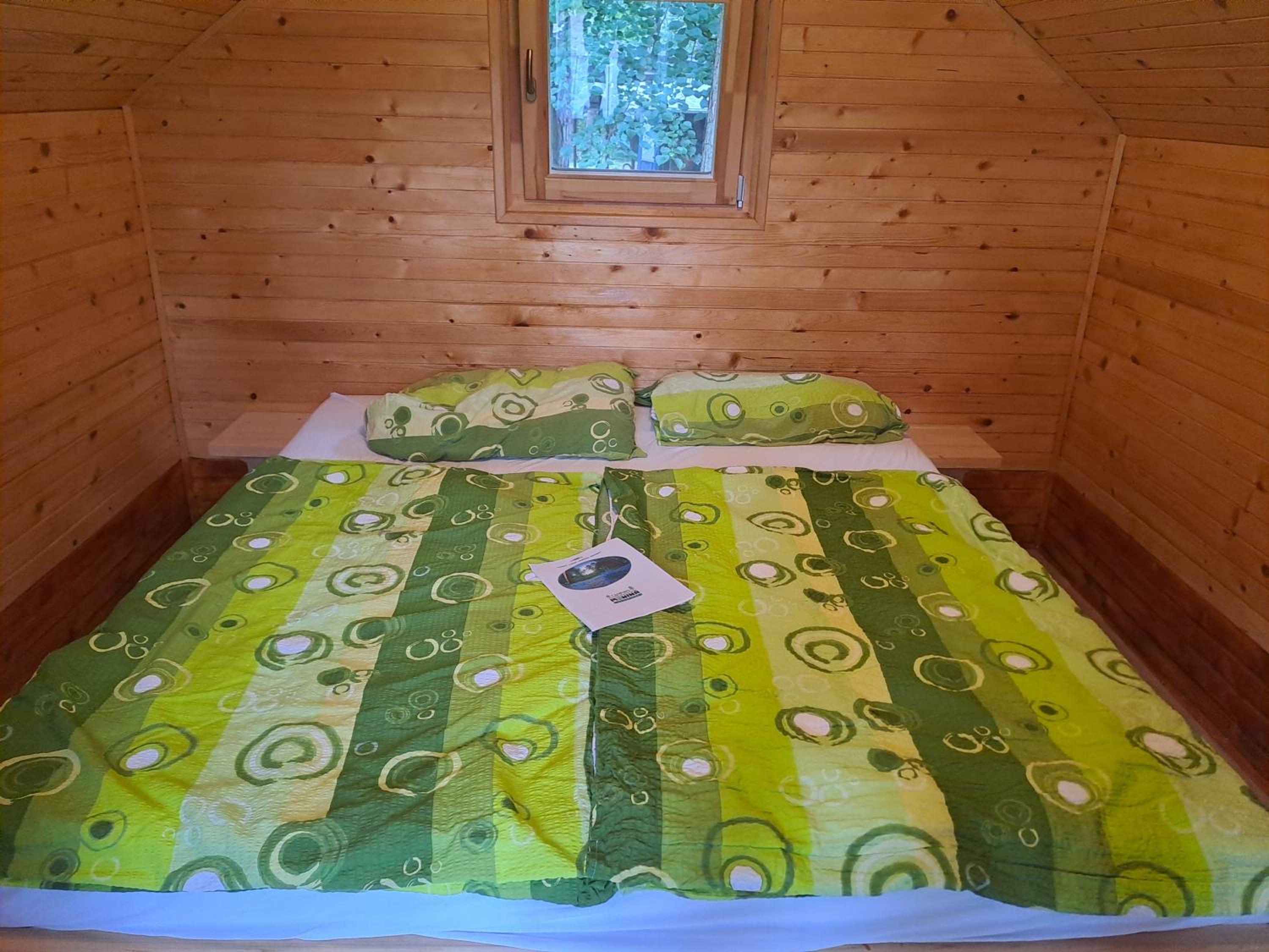 Forest Lodge view 5