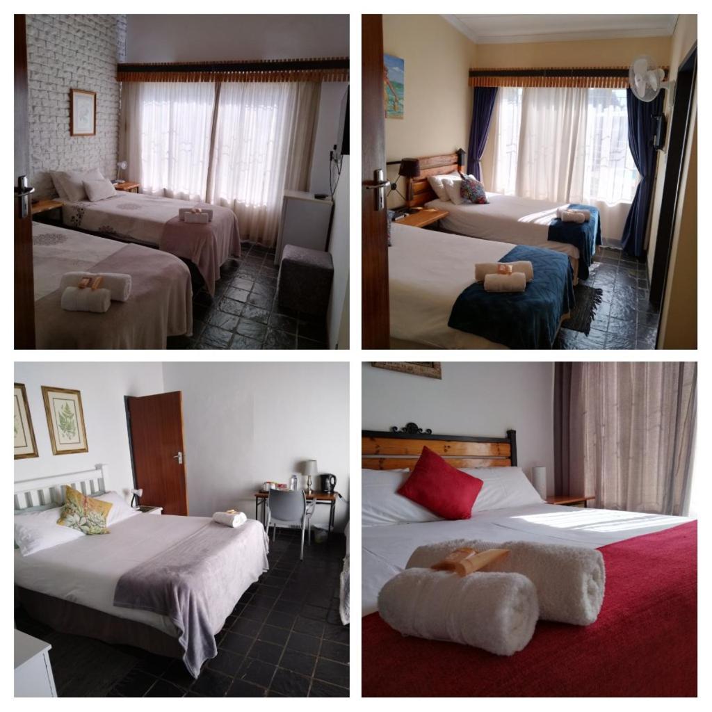 Gorgeous Gecko Guesthouse