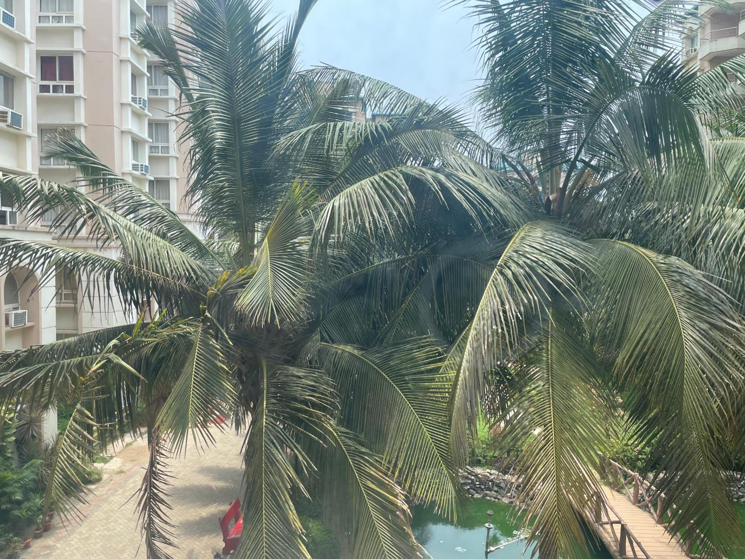 Deepali's Homestay