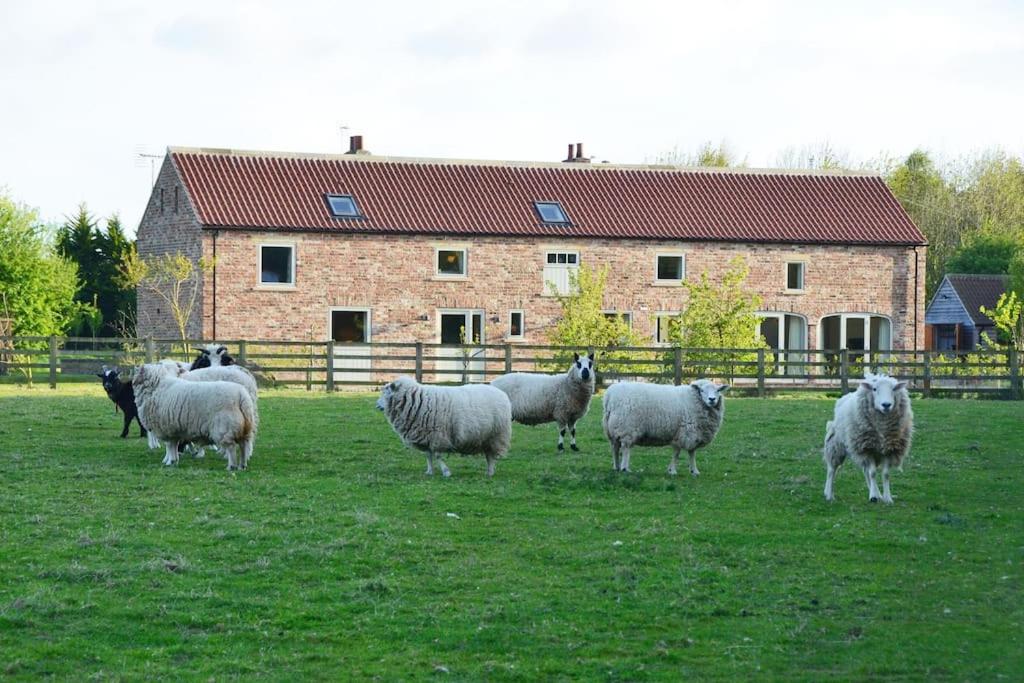 Luxury Barn with sauna near York welcoming families, friends, groups view 3