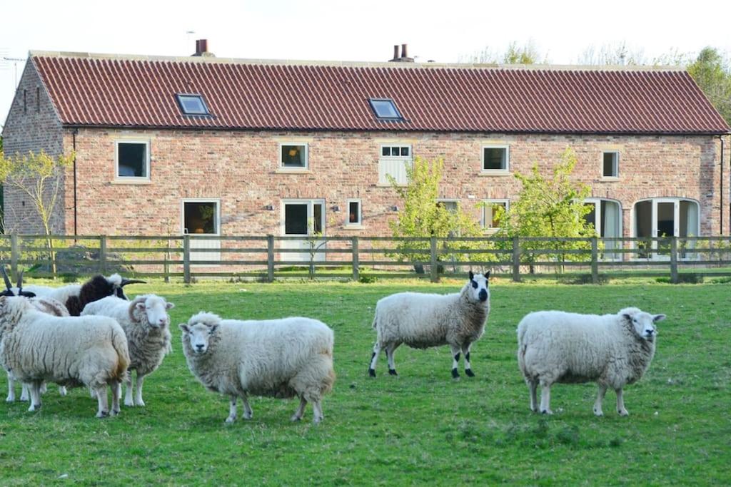 Luxury Barn with sauna near York welcoming families, friends, groups view 2