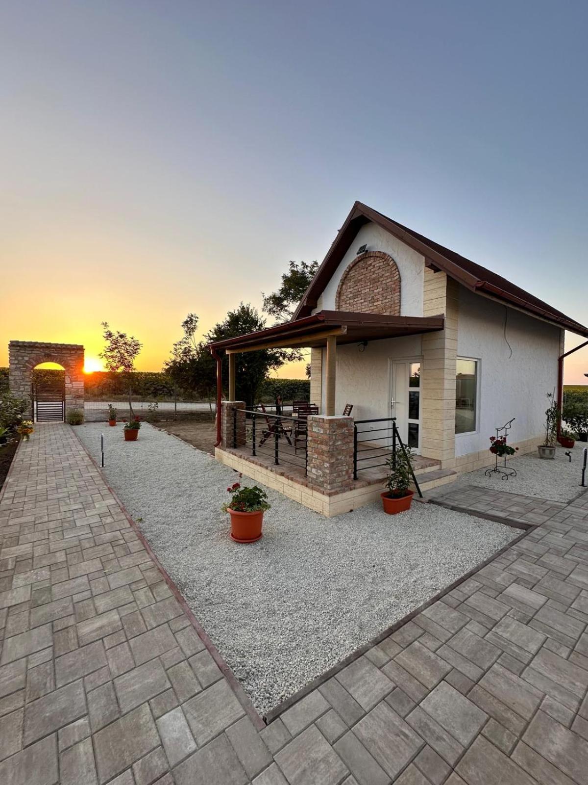 Halta Pescăruş Accommodation