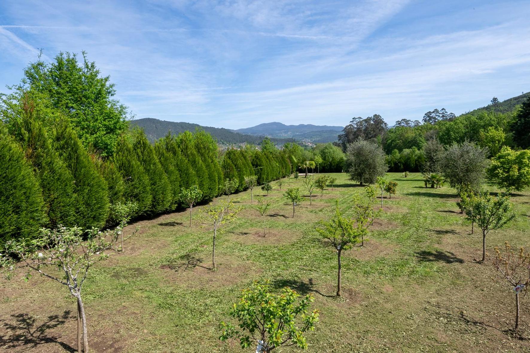 Villa Las Minas Mondariz